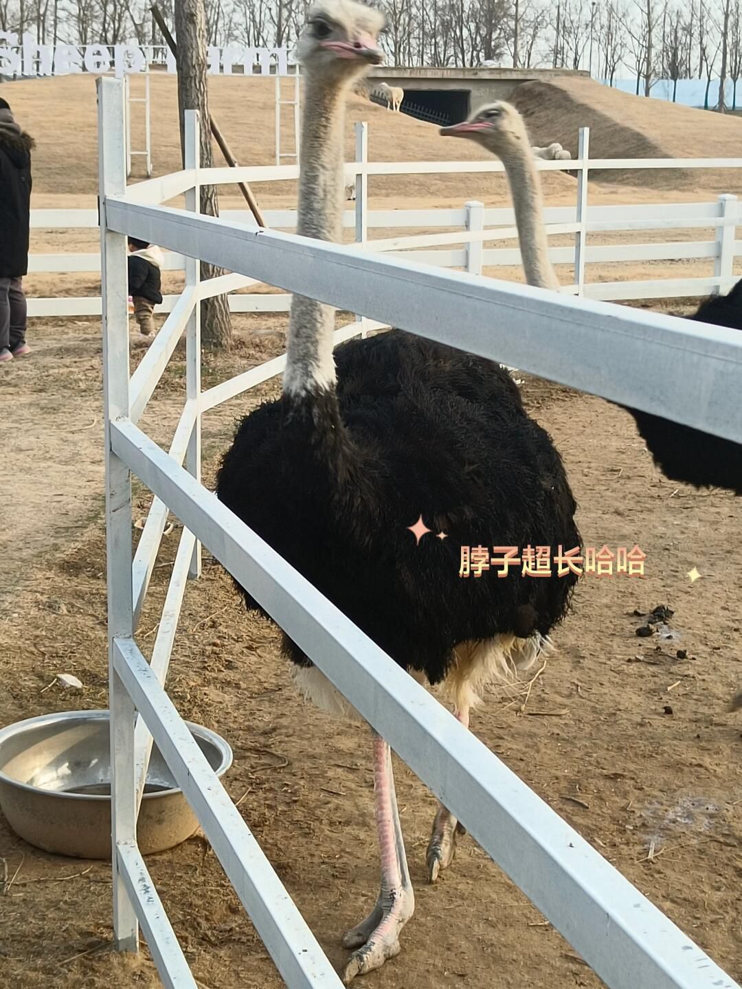 松鼠咔咔探索乐园旅行图片 2