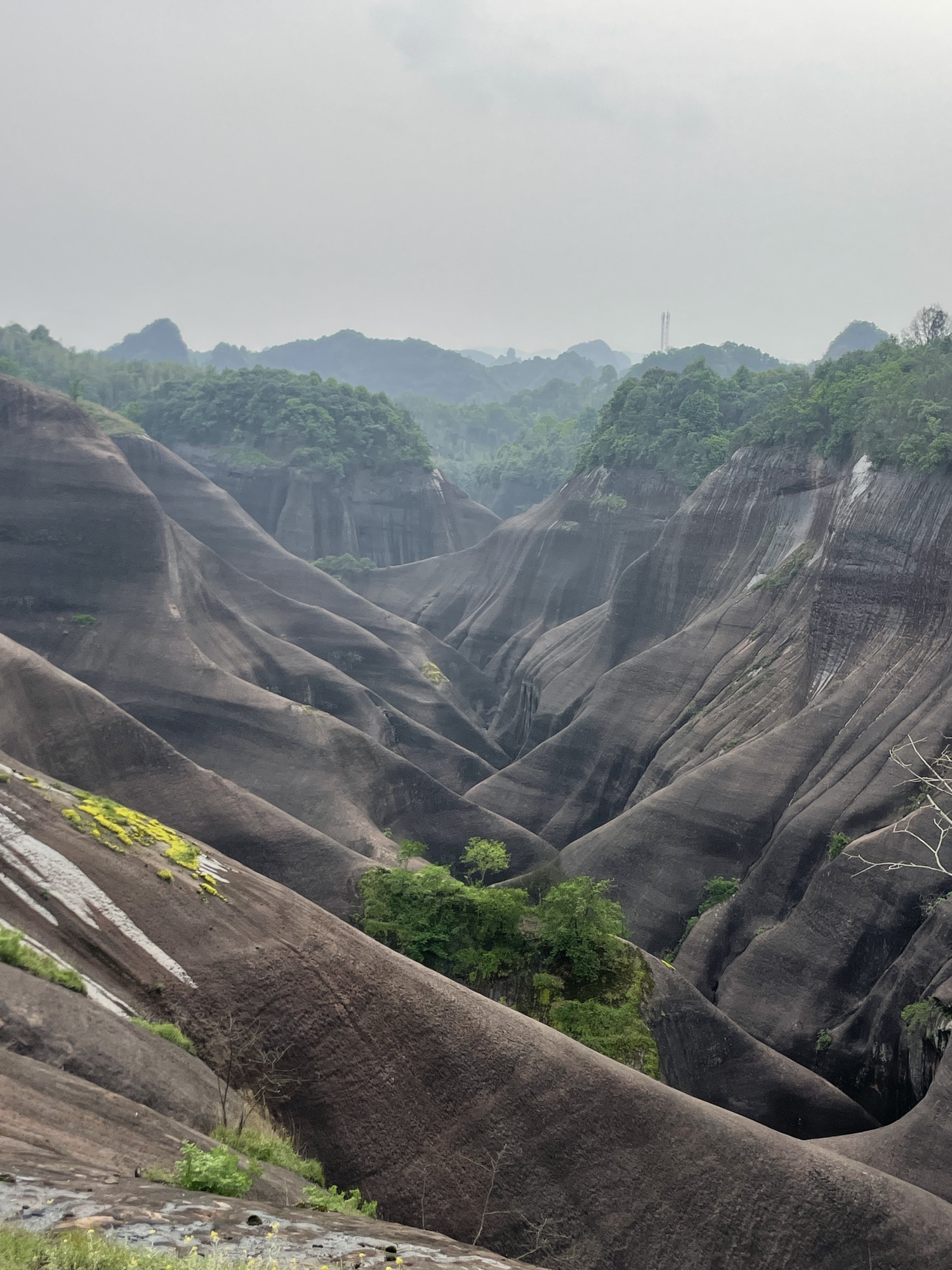 高椅岭旅游区旅行图片 3