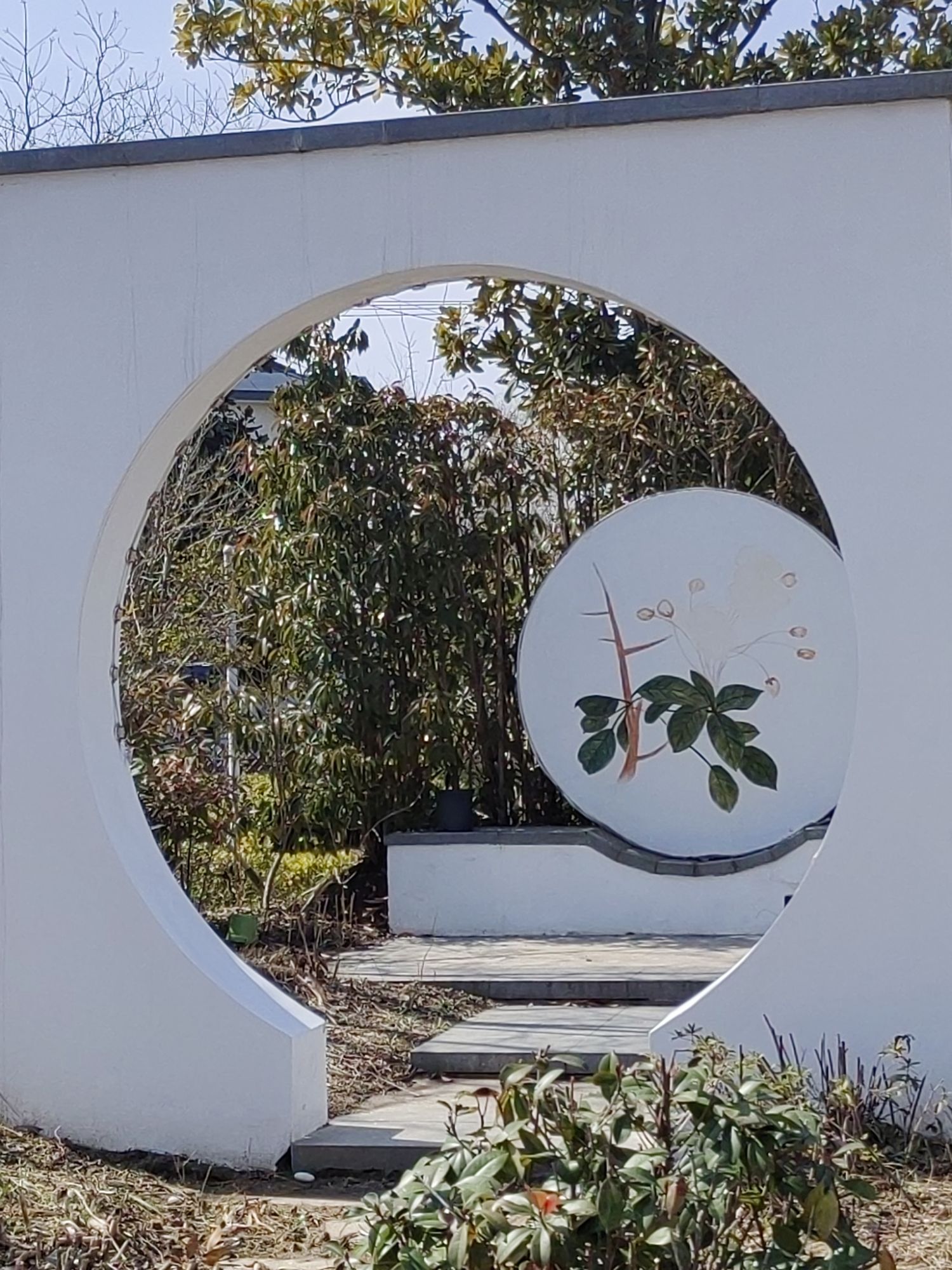 上海玉海棠旅行图片 1