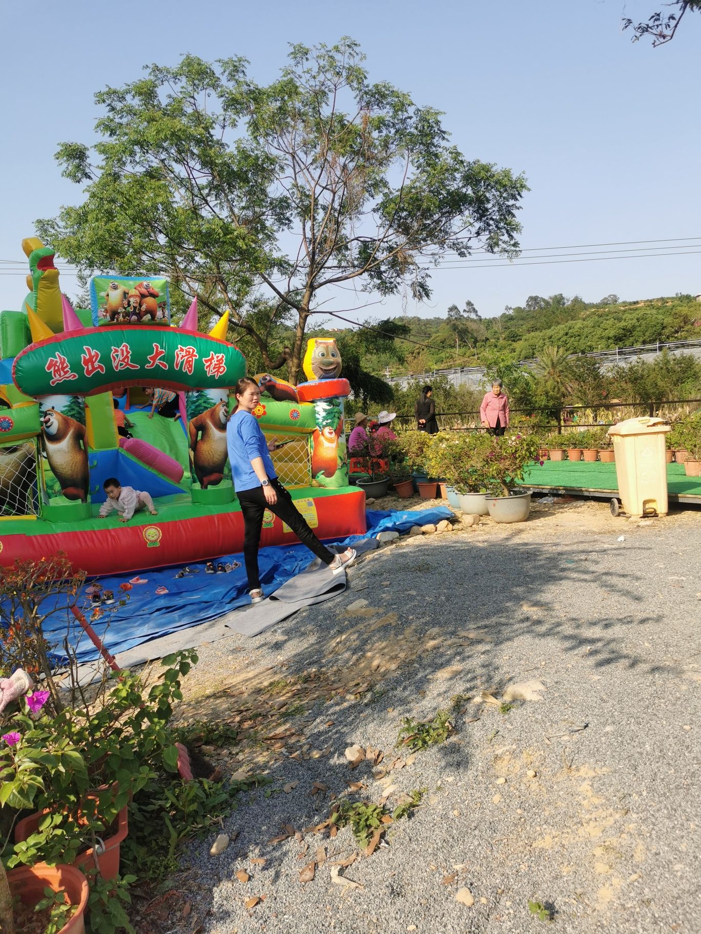 花漾古坑三角梅景区旅行图片 1