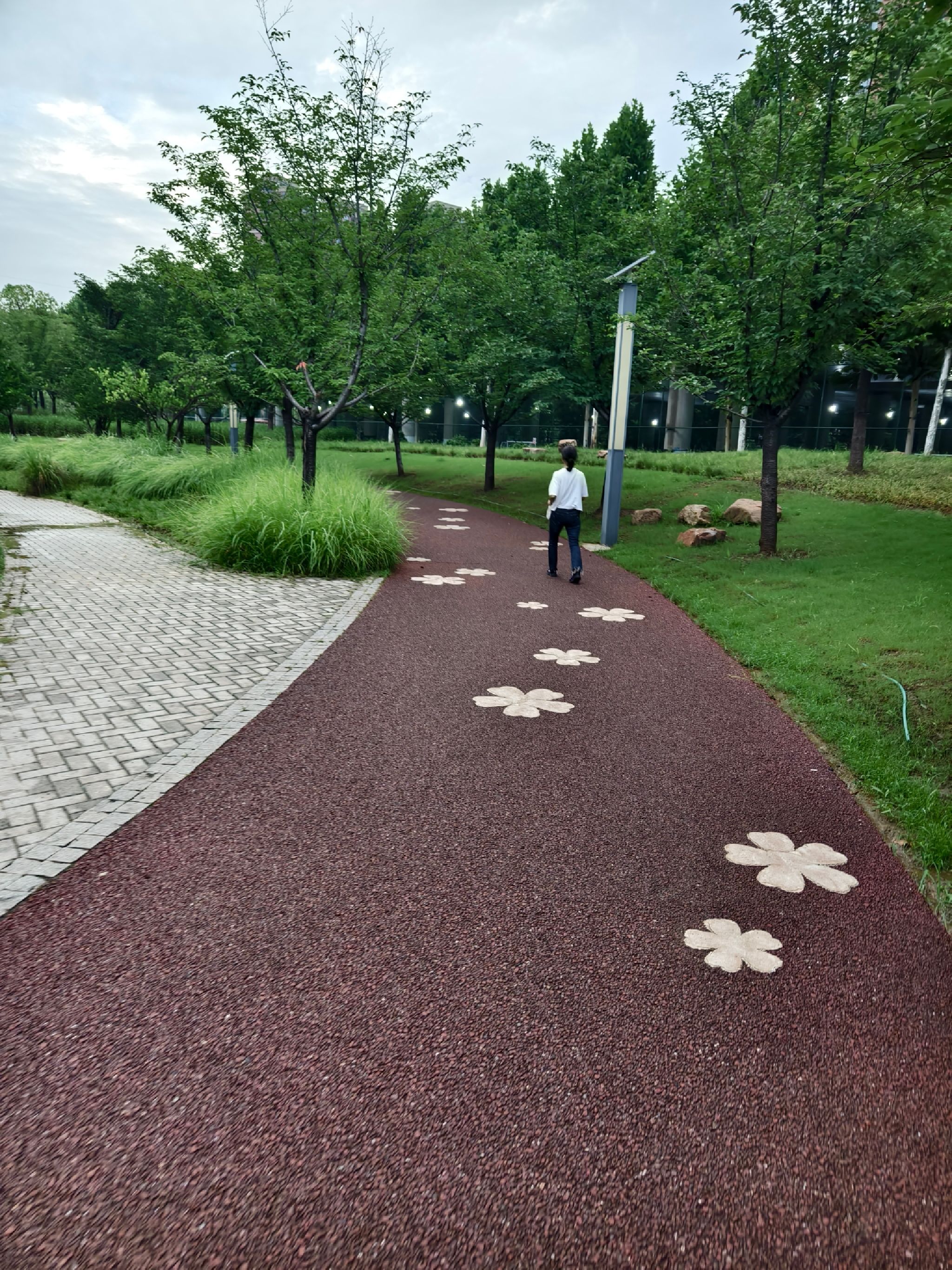 金银潭游园旅行图片 1