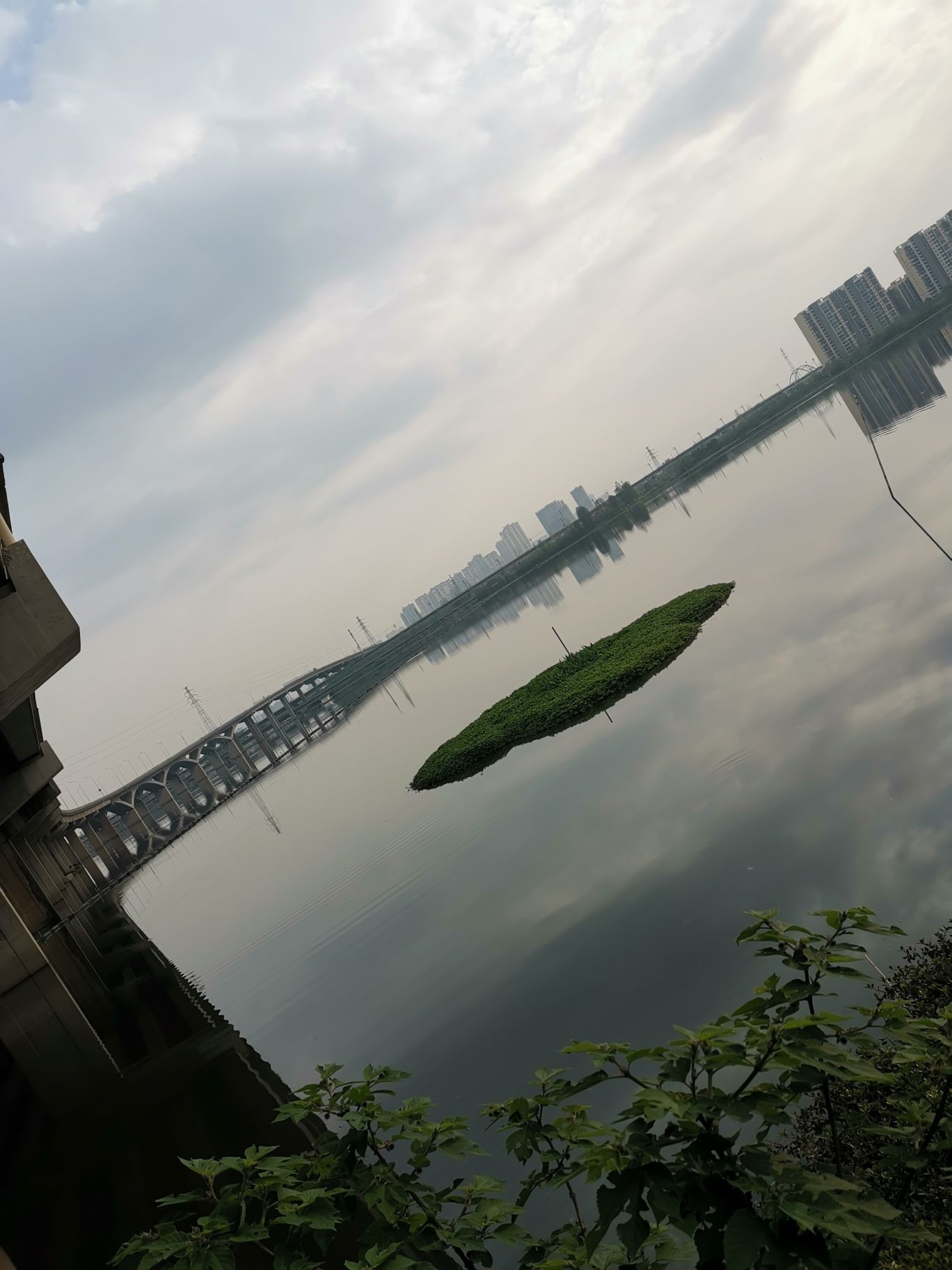 野芷湖公园旅行图片 1