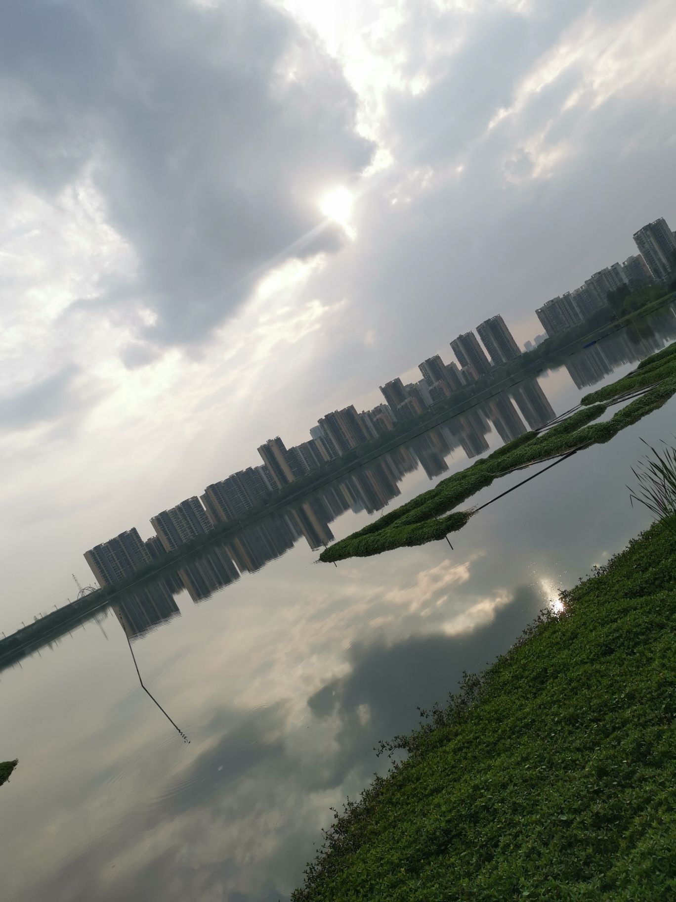 野芷湖公园旅行图片 2