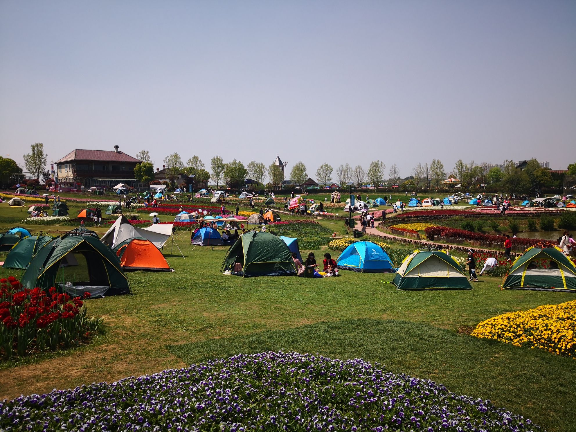 野芷湖公园旅行图片 1