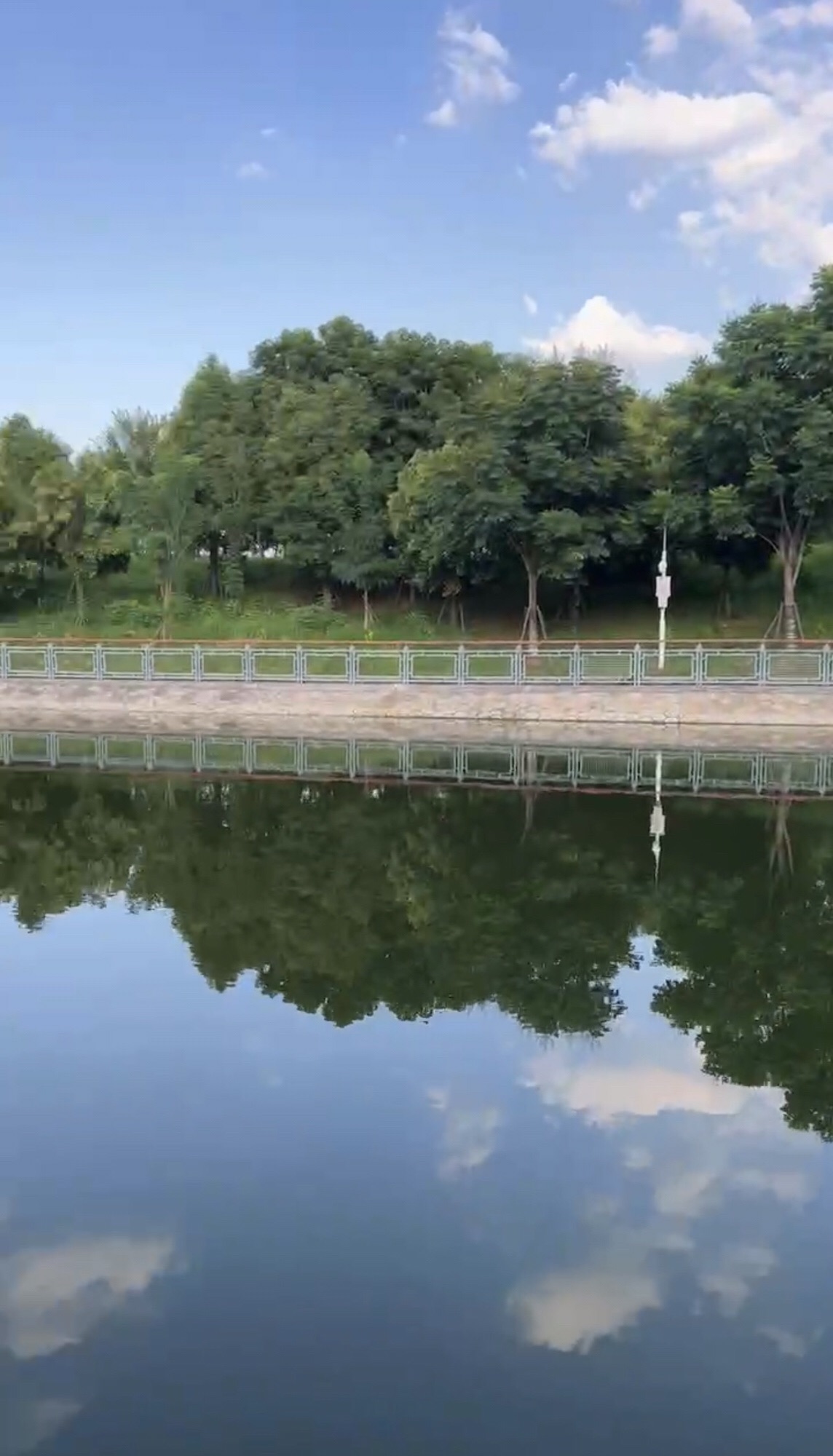 野芷湖公园旅行图片 2