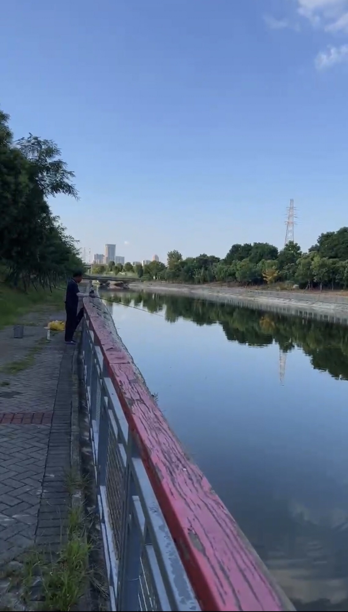 野芷湖公园旅行图片 1