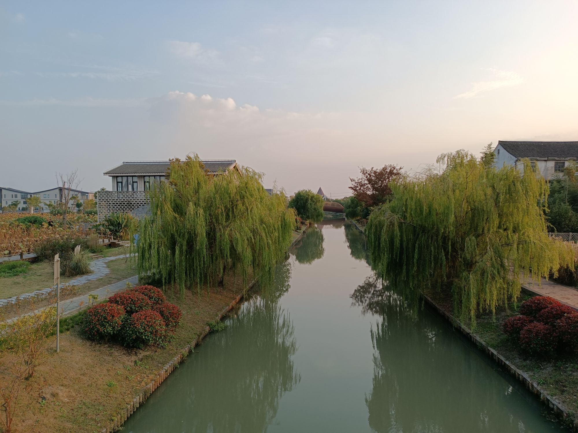 水库村湿地公园旅行图片 3