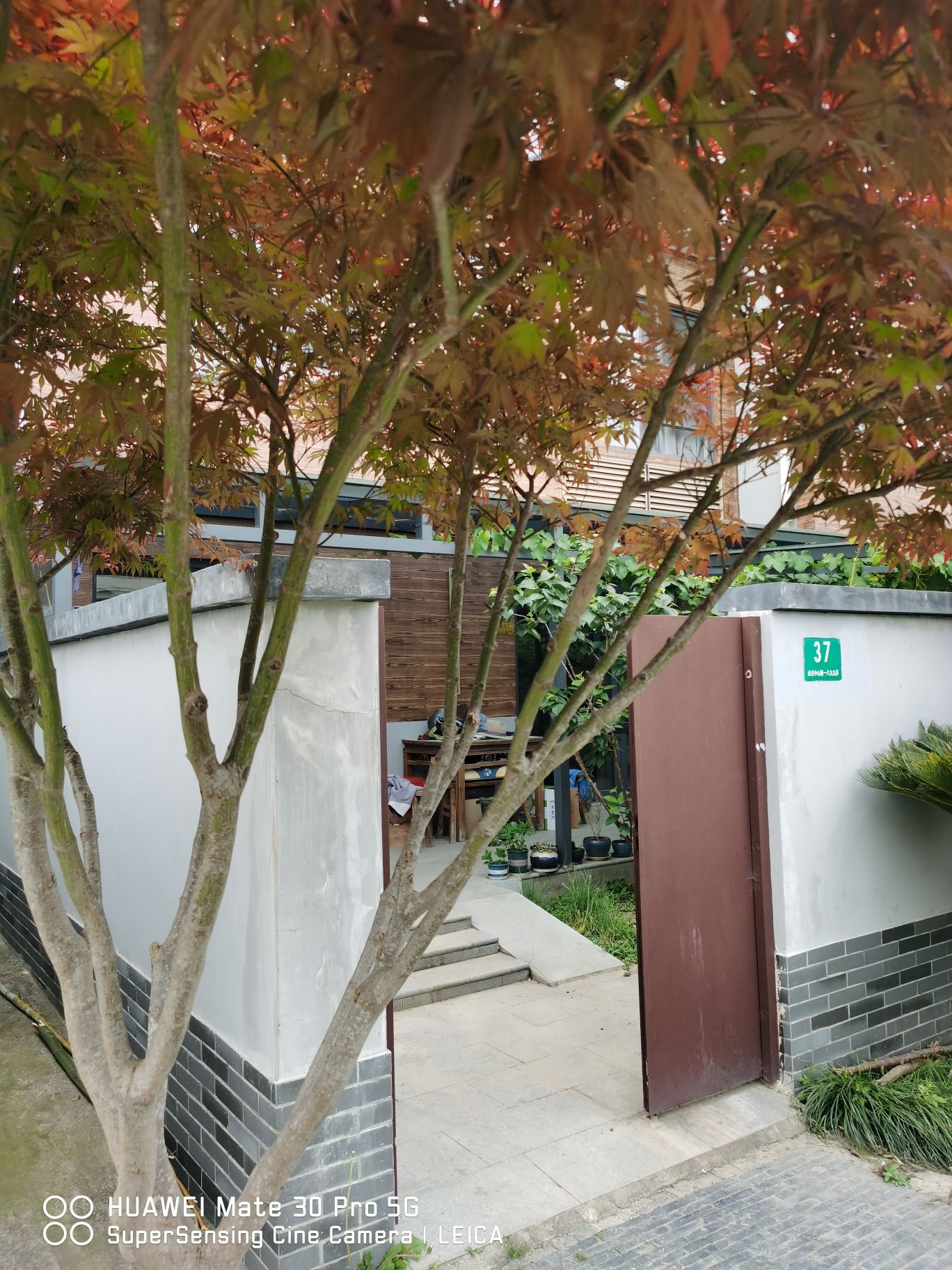 水库村湿地公园旅行图片 2