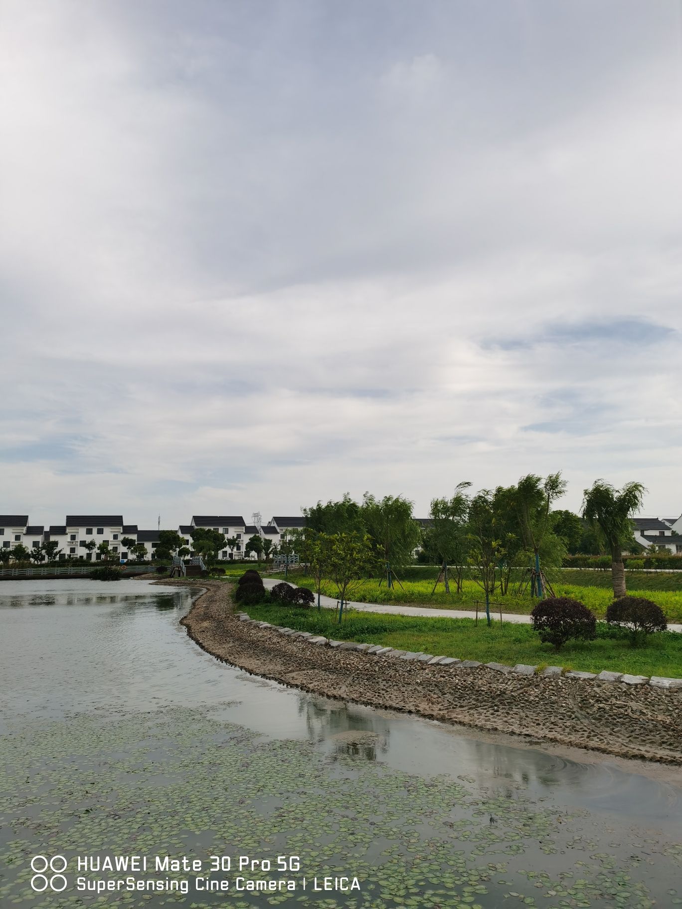 水库村湿地公园旅行图片 3
