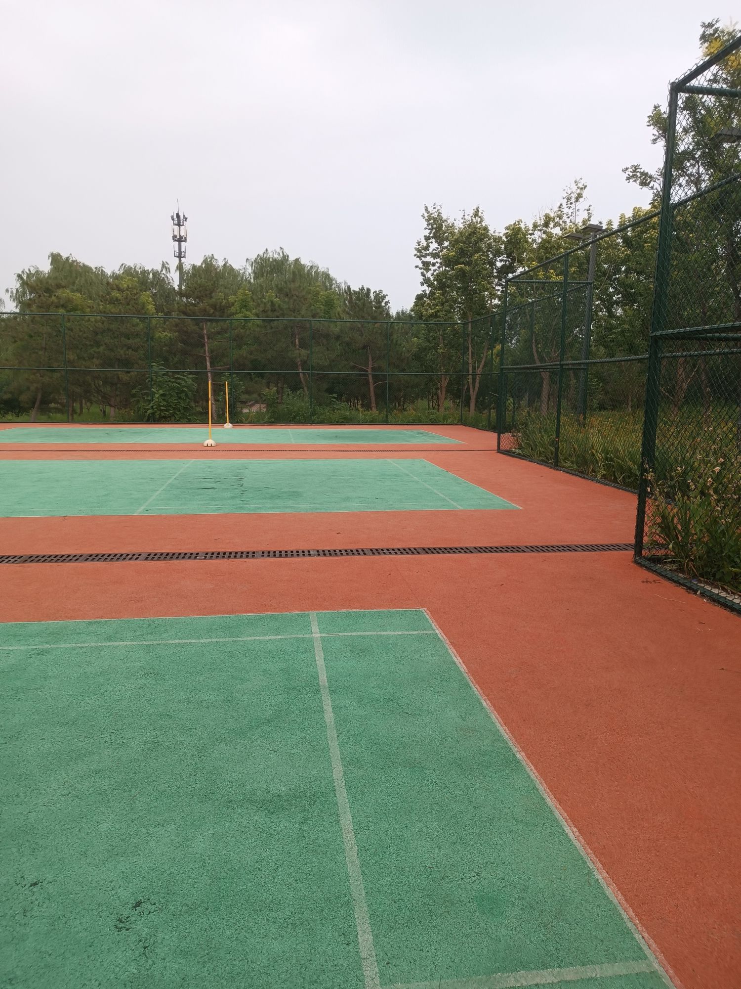 场地封面-城市绿心森林公园羽毛球场