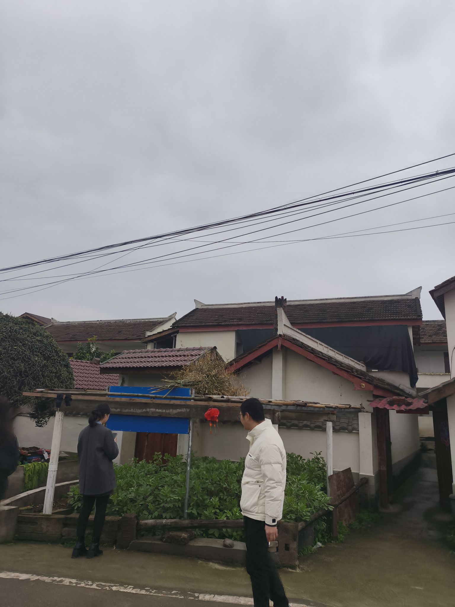 晏家坝乡村公园旅行图片 1