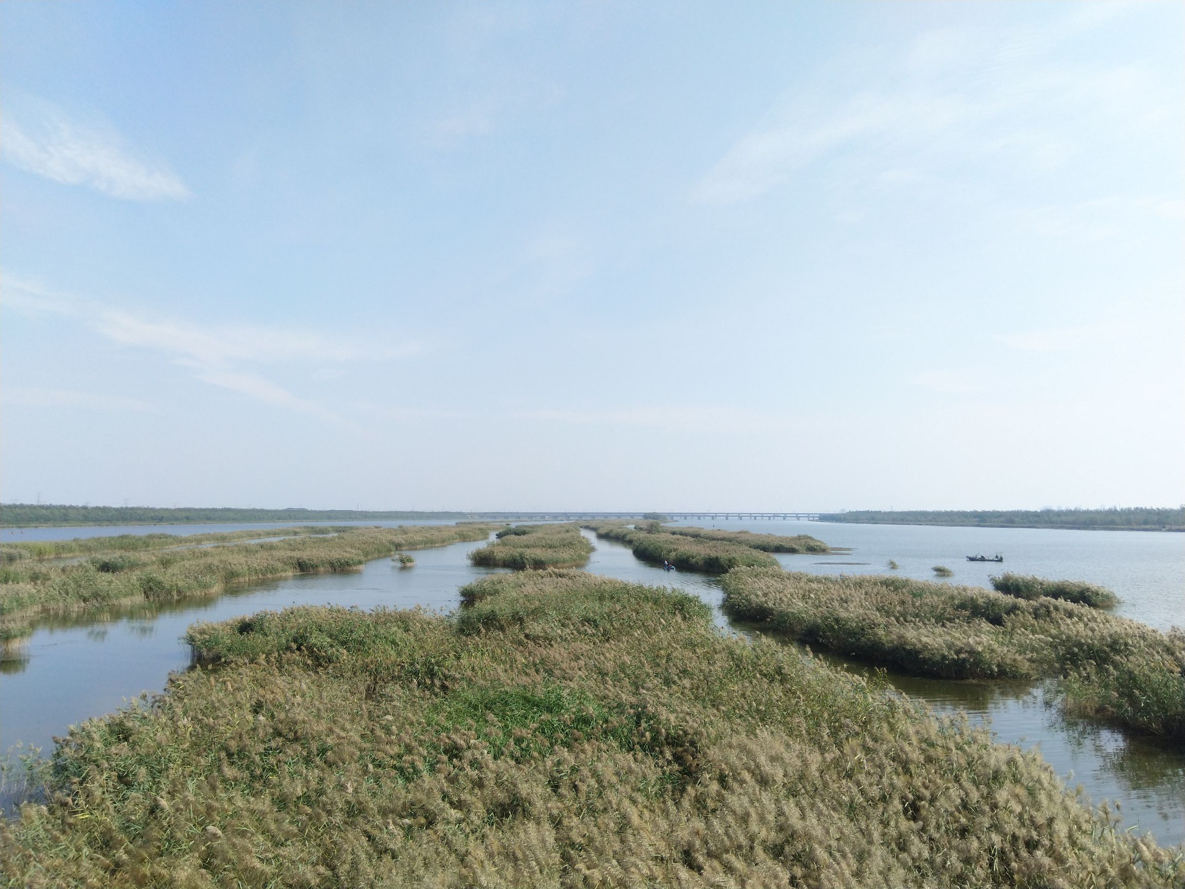 独流减河观景台旅行图片 1