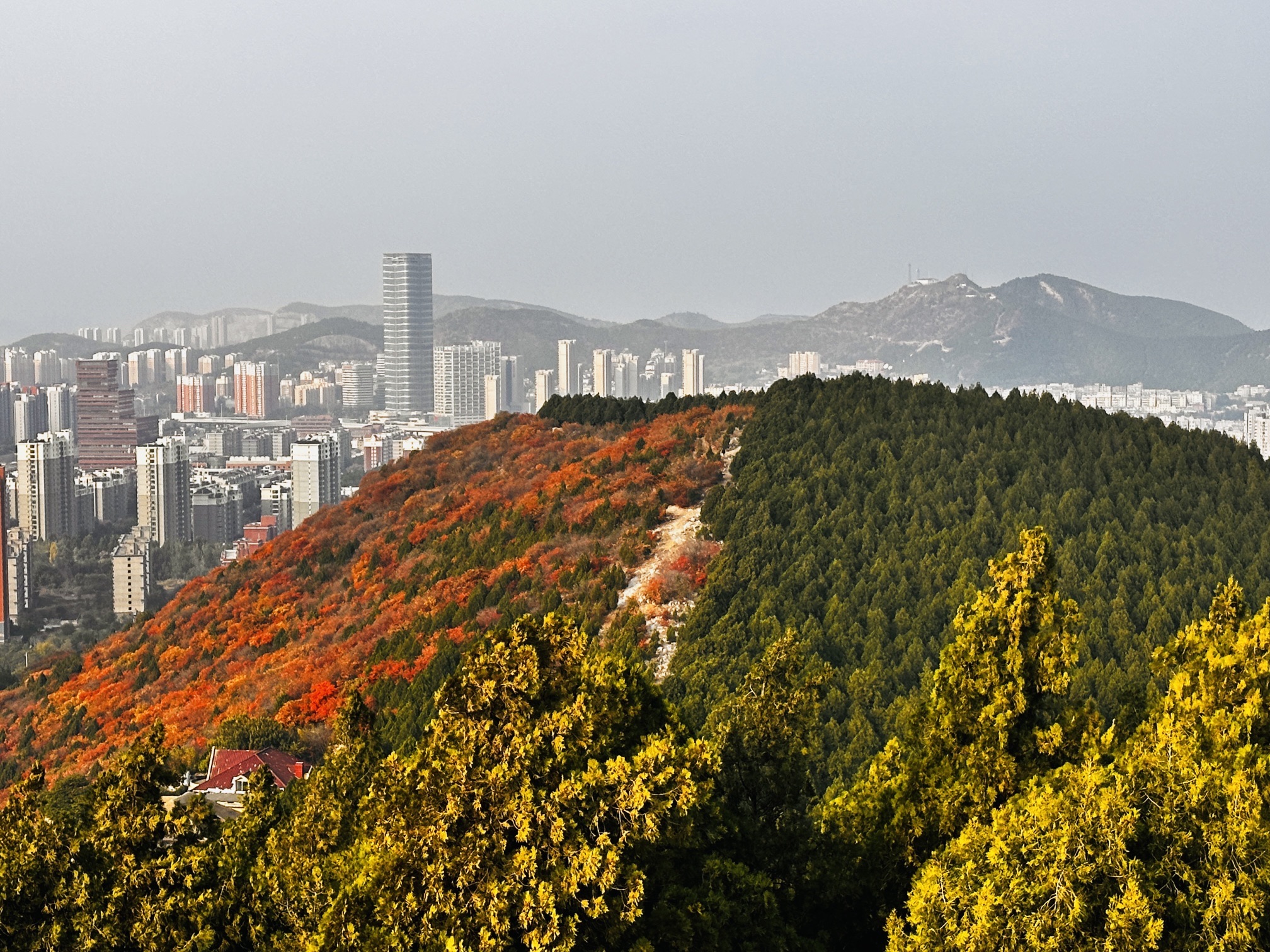 蝎子山旅行图片 1