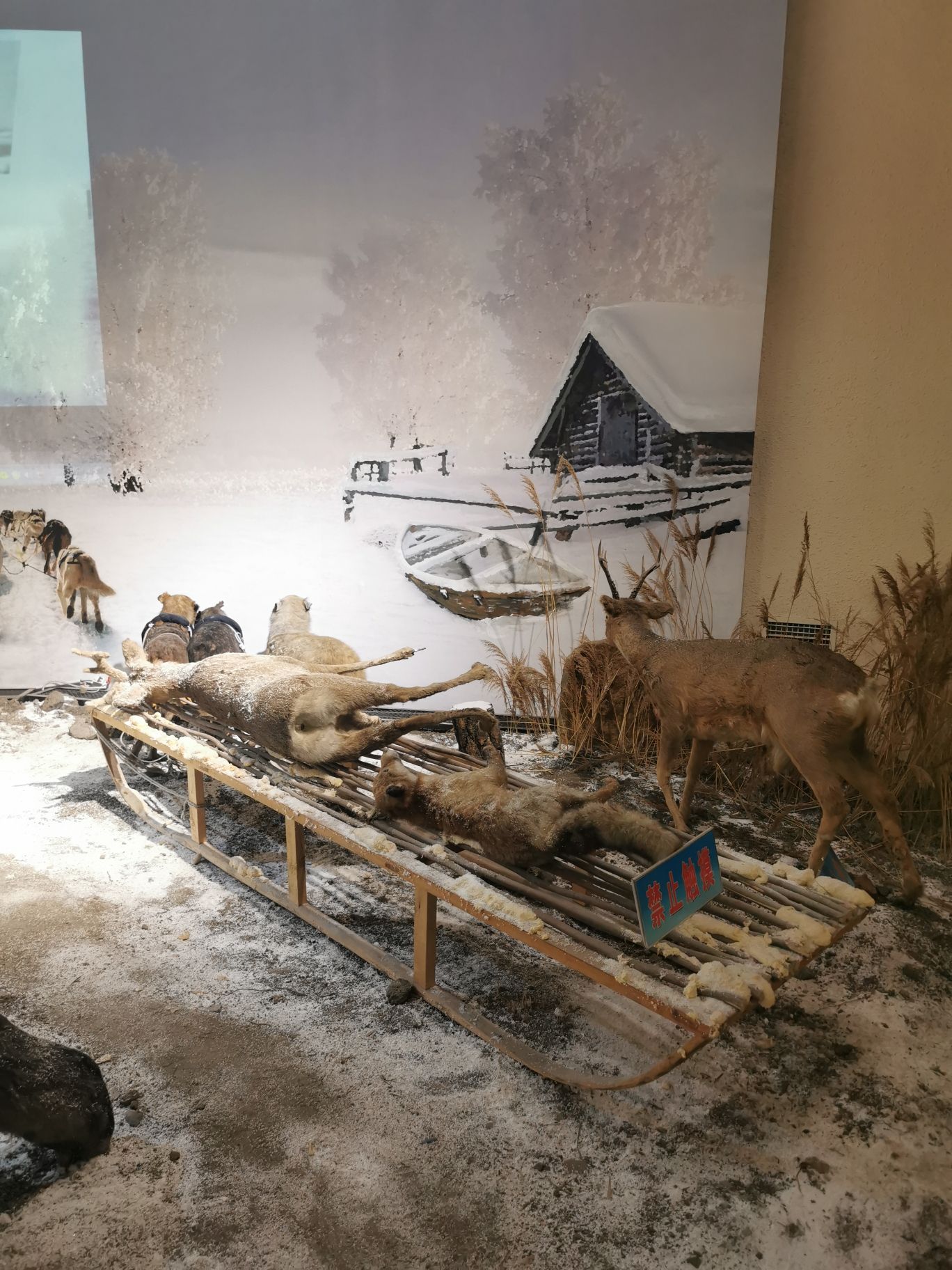 同江市赫哲族博物馆 - 忠仁镇便民圈栖邻生活圈文化服务服务点实景照片