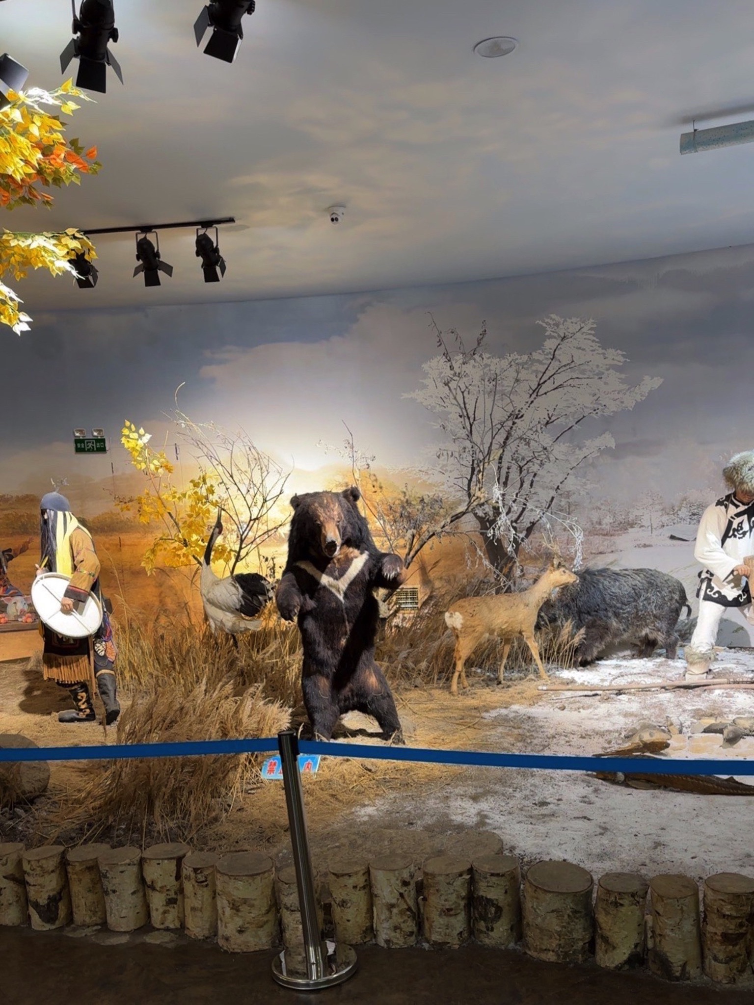 同江市赫哲族博物馆 - 忠仁镇便民圈栖邻生活圈文化服务服务点实景照片