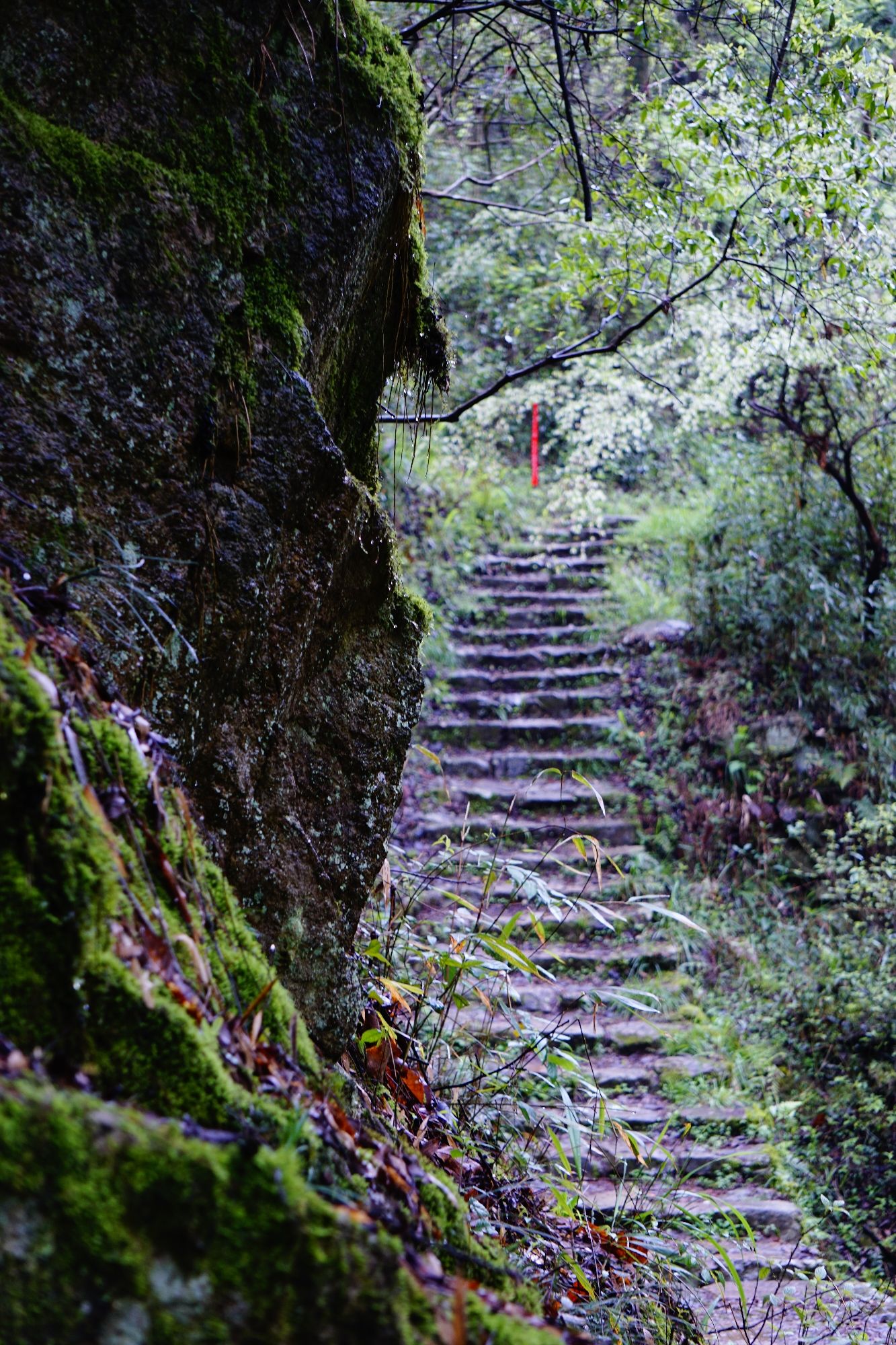 金兰古道旅行图片 2