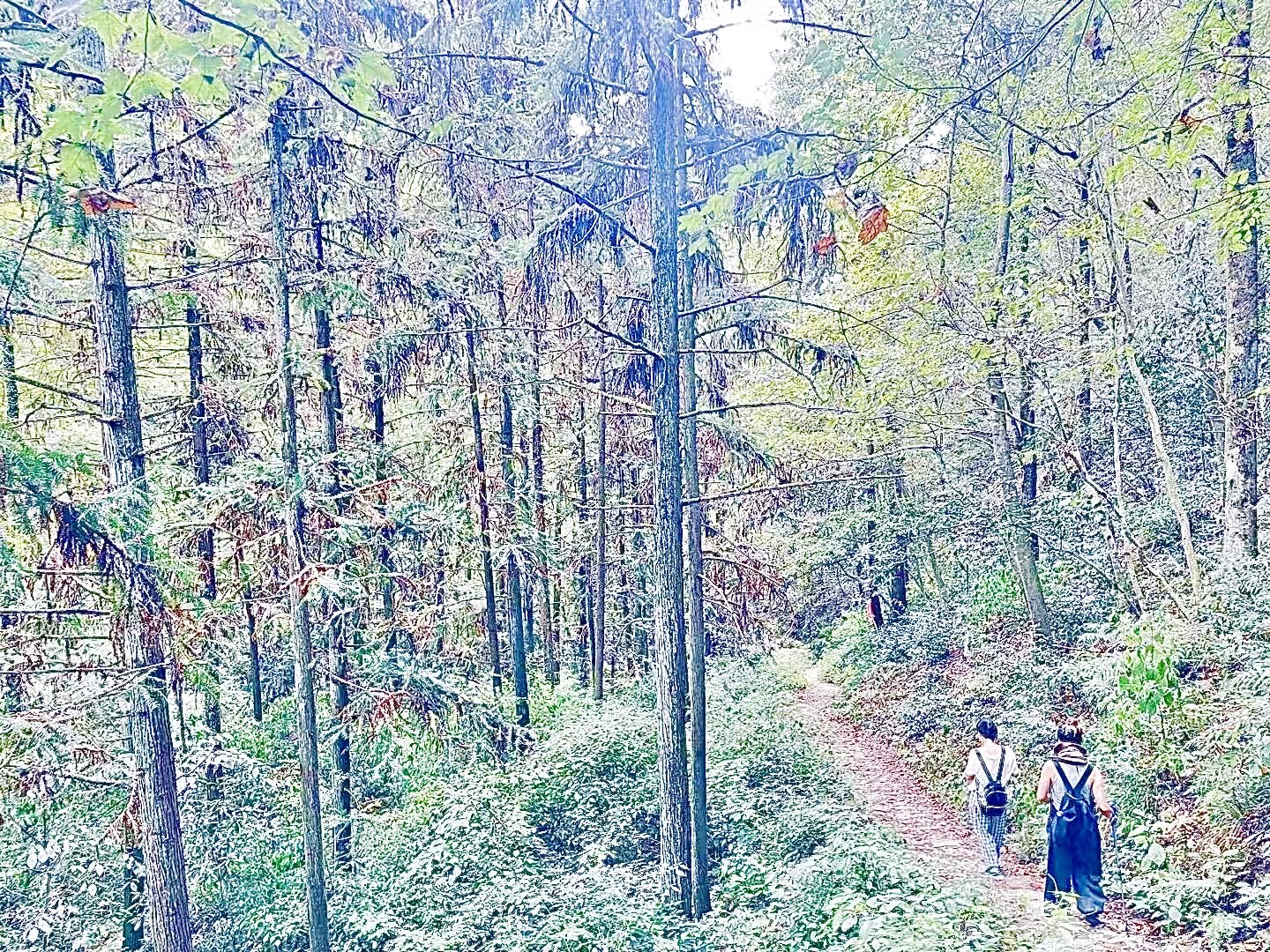 金兰古道旅行图片 3