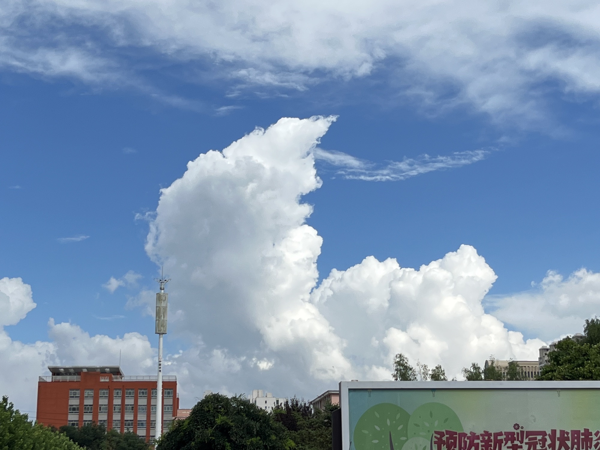 六府公园旅行图片 1