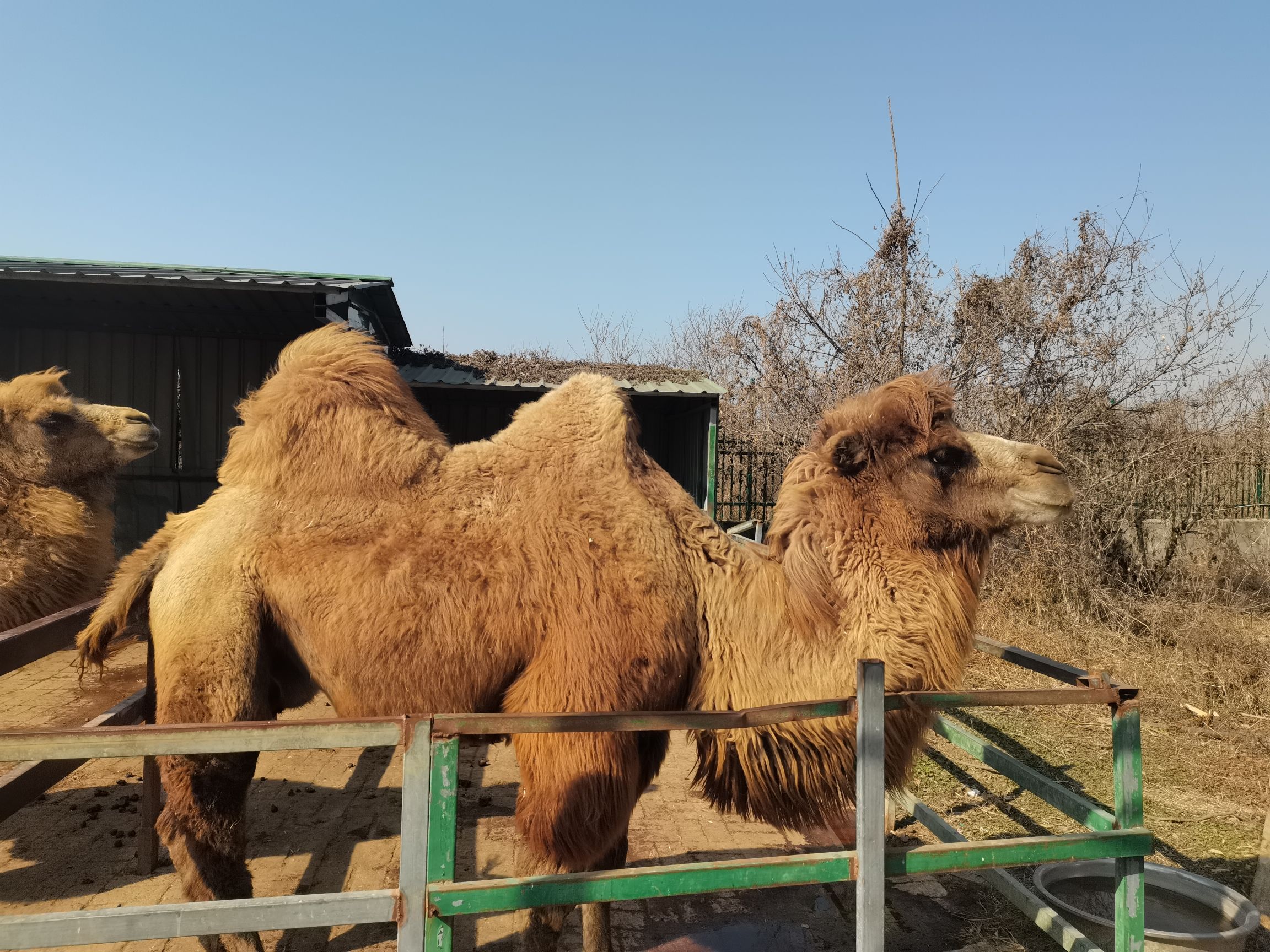 花之谷运动探险乐园旅行图片 2