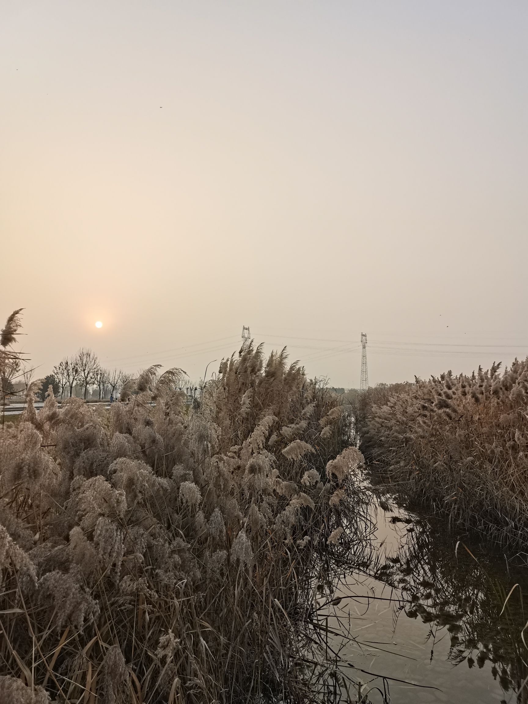 活力广场旅行图片 3