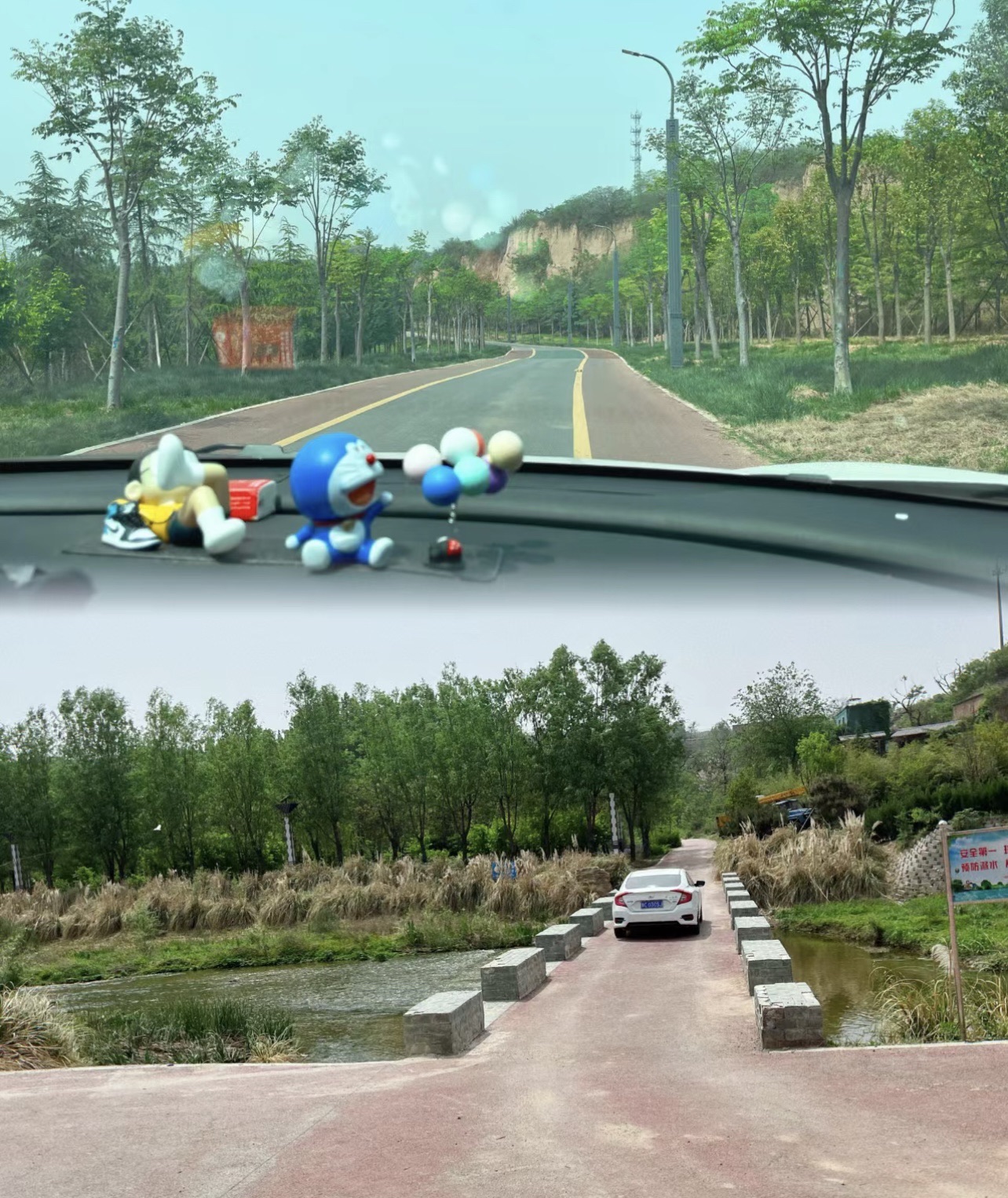 朱樱湖湿地公园旅行图片 2