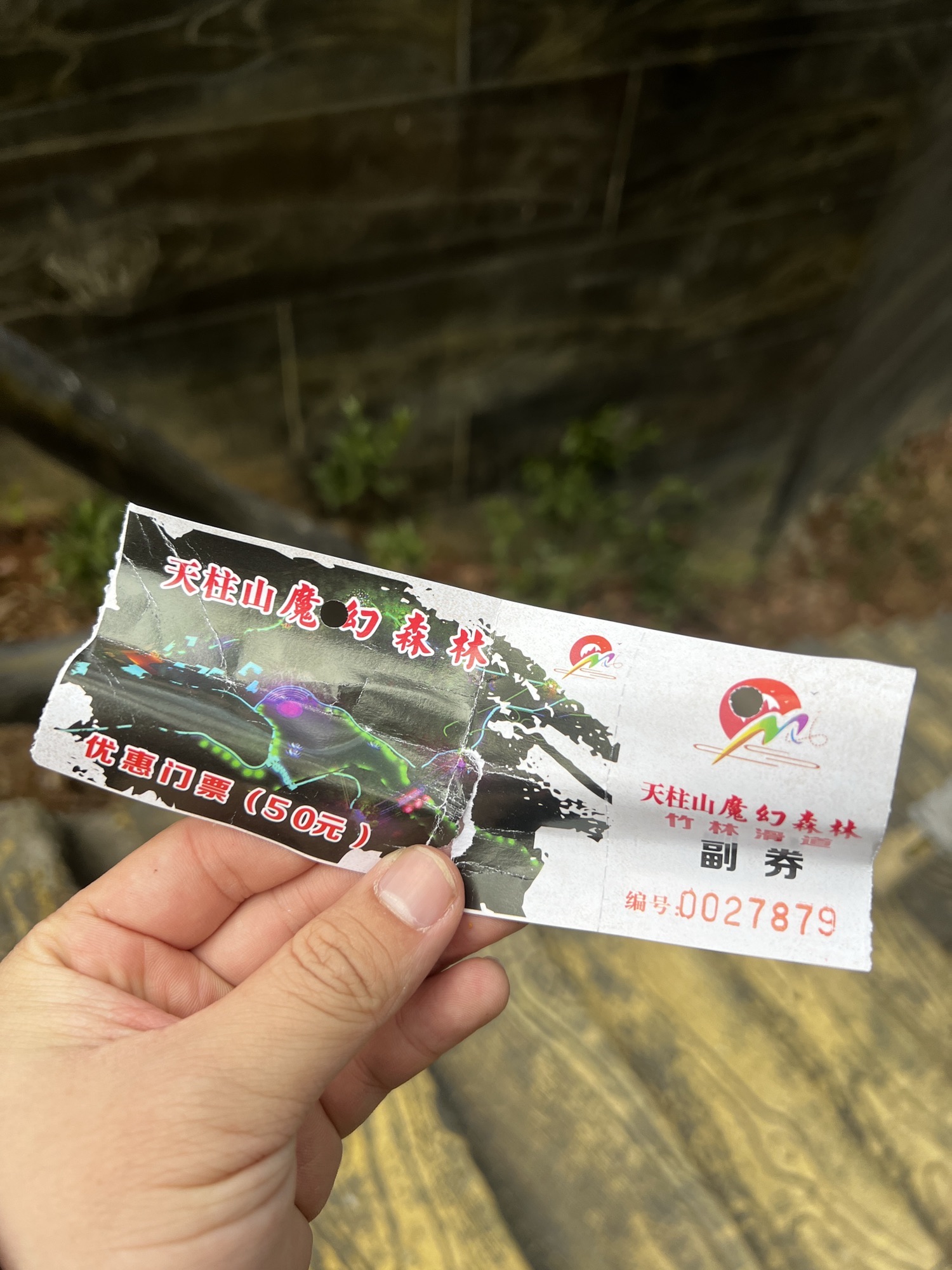 天柱山魔幻森林景区旅行图片 1