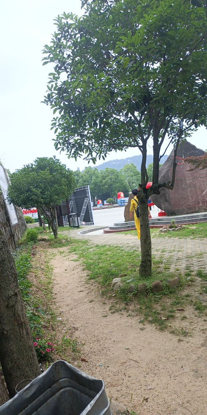 天柱山魔幻森林景区旅行图片 3