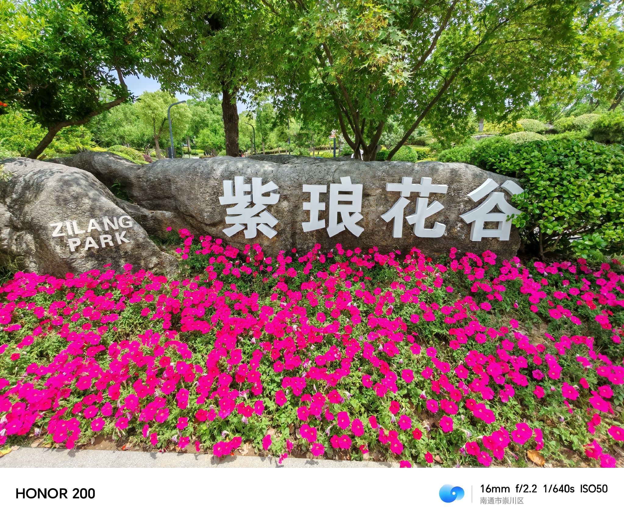 紫琅花谷景点图片