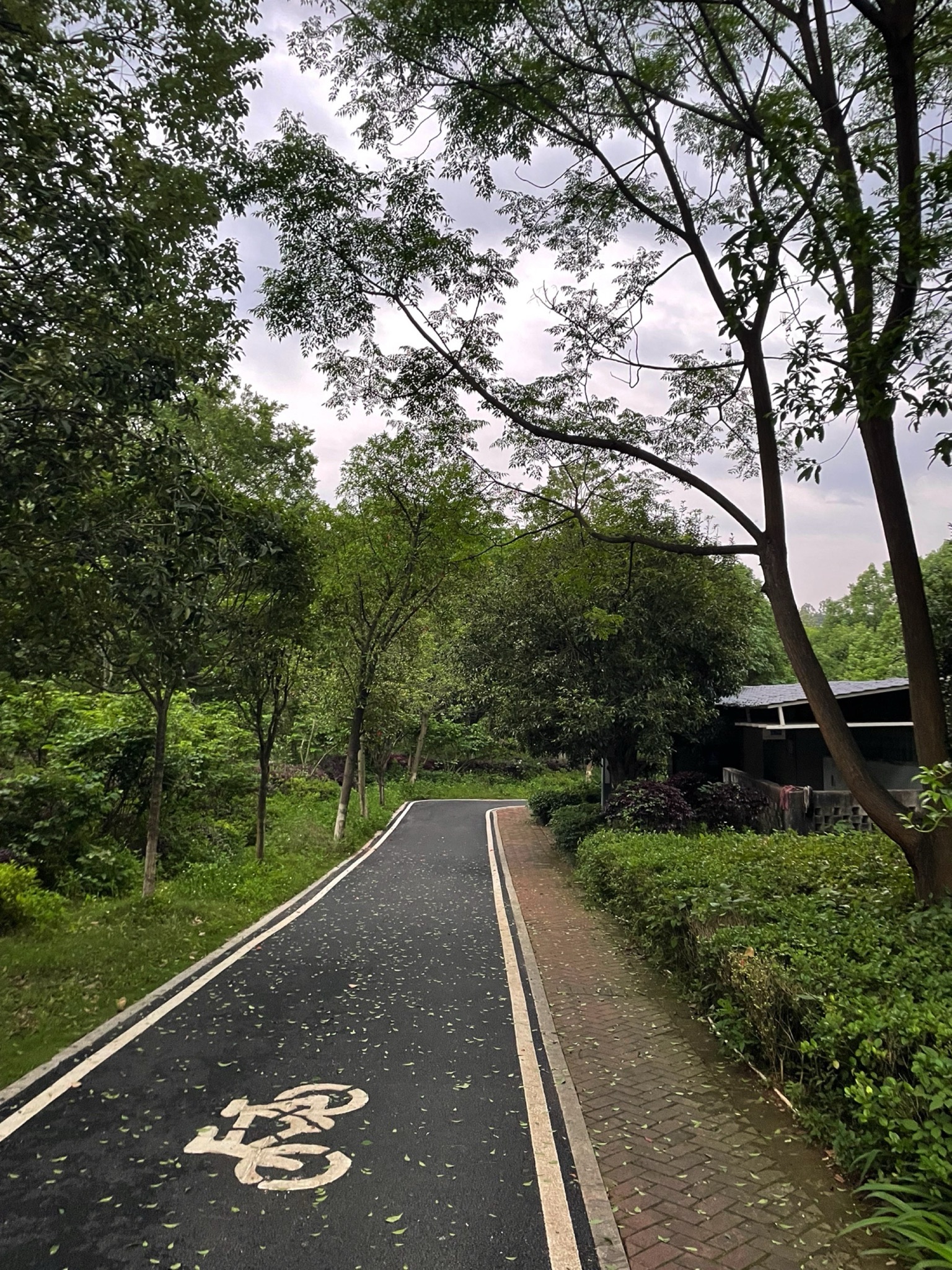 梧塘湖消防文化公园旅行图片 1