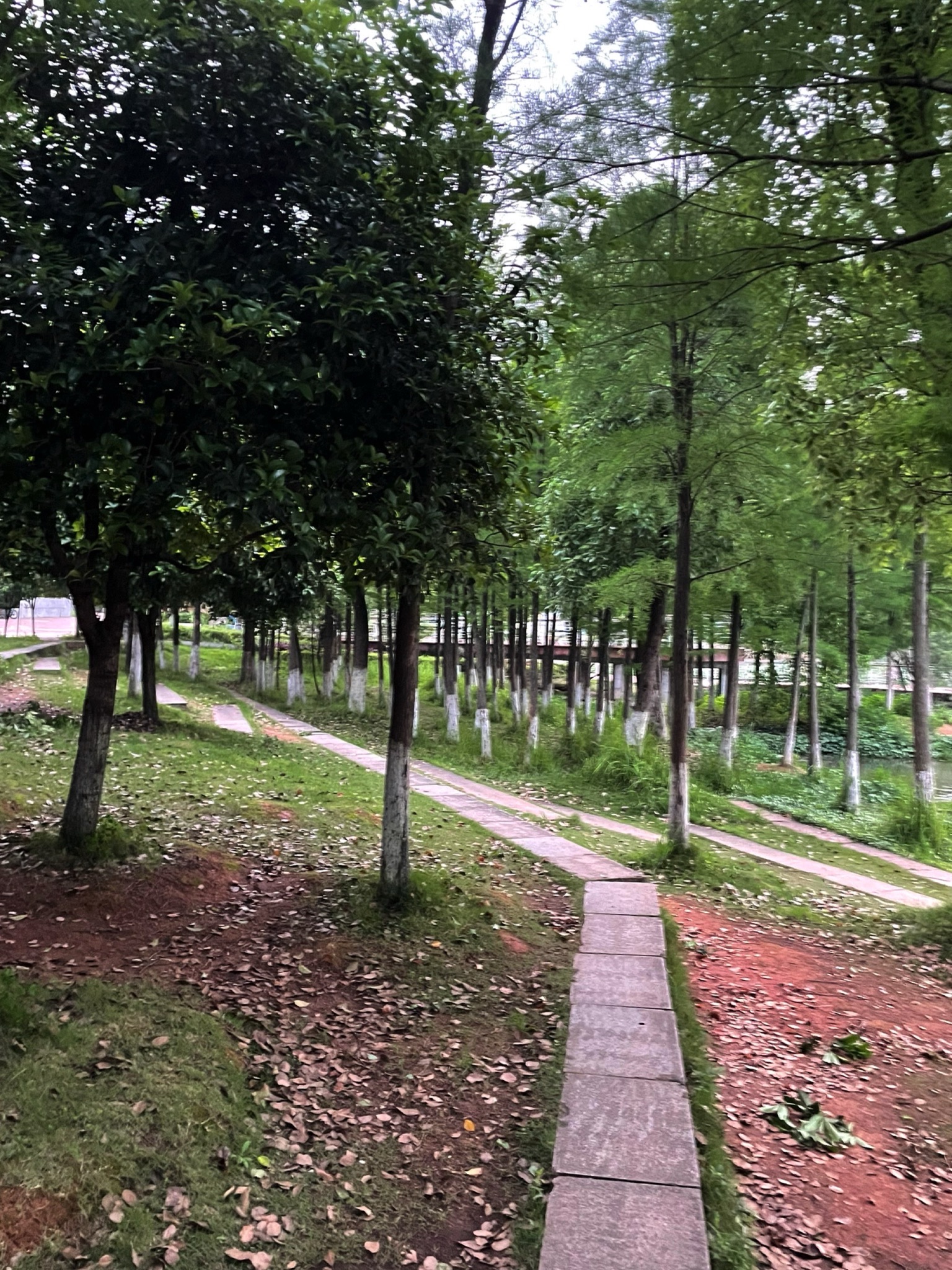梧塘湖消防文化公园旅行图片 3