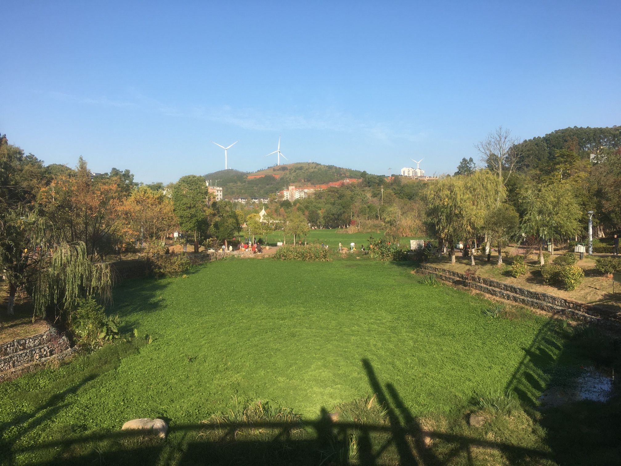 梧塘湖消防文化公园旅行图片 2