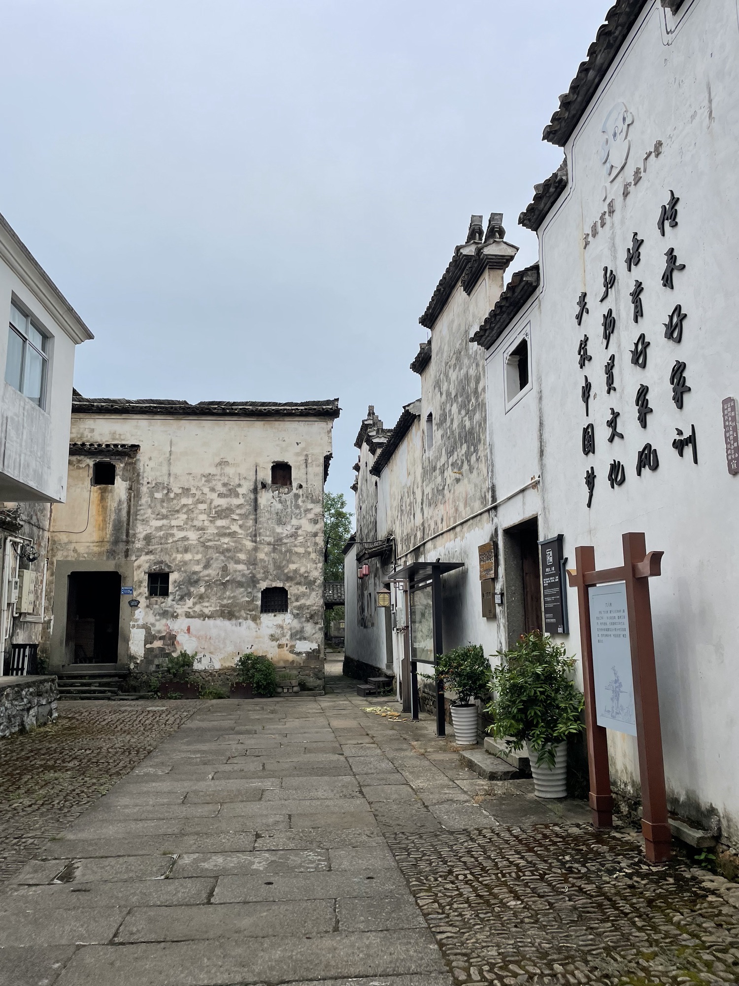 东梓关旅行图片 2