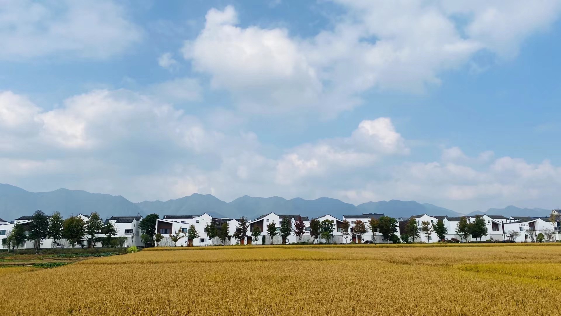 东梓关旅行图片 1
