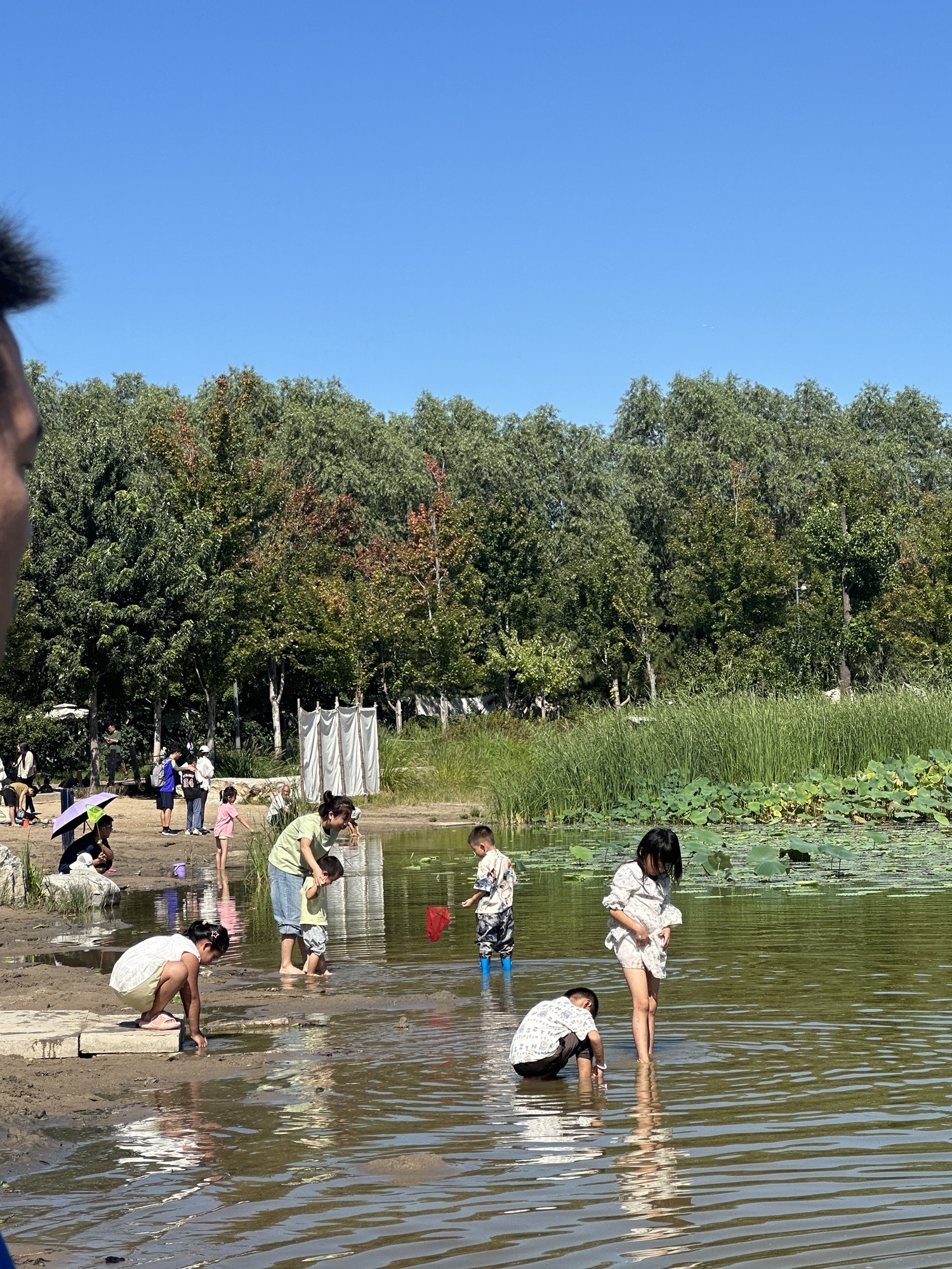北京温榆河公园·湿地示范-芸上梯田旅行图片 1