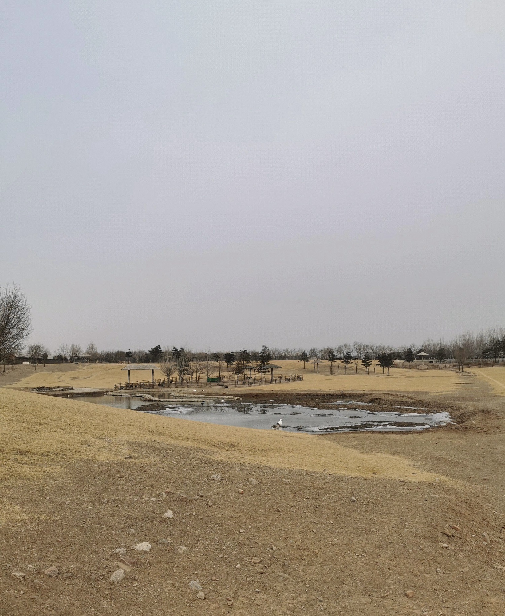唐山东湖公园南山塔旅行图片 1