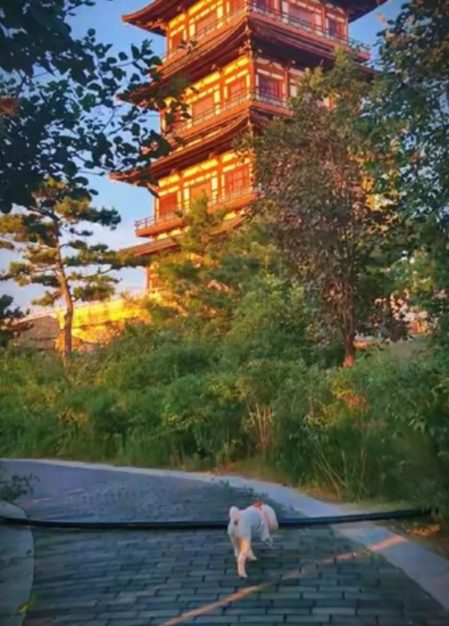 唐山东湖公园南山塔旅行图片 3