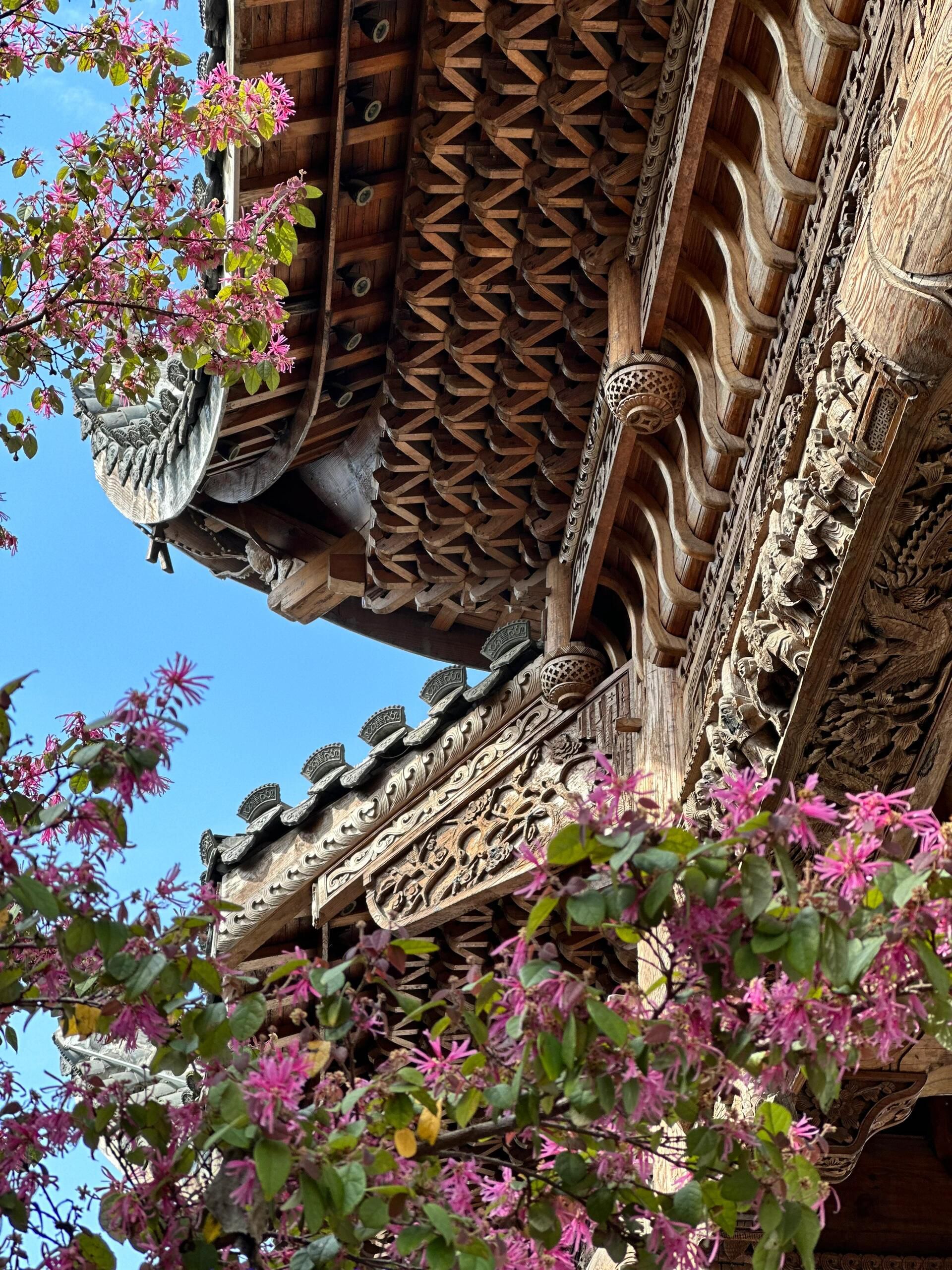 芜湖鸠兹度假区旅行图片 1