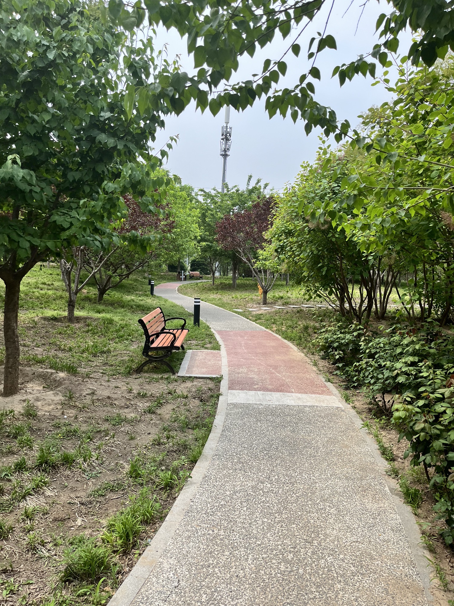 丰宜公园旅行图片 2