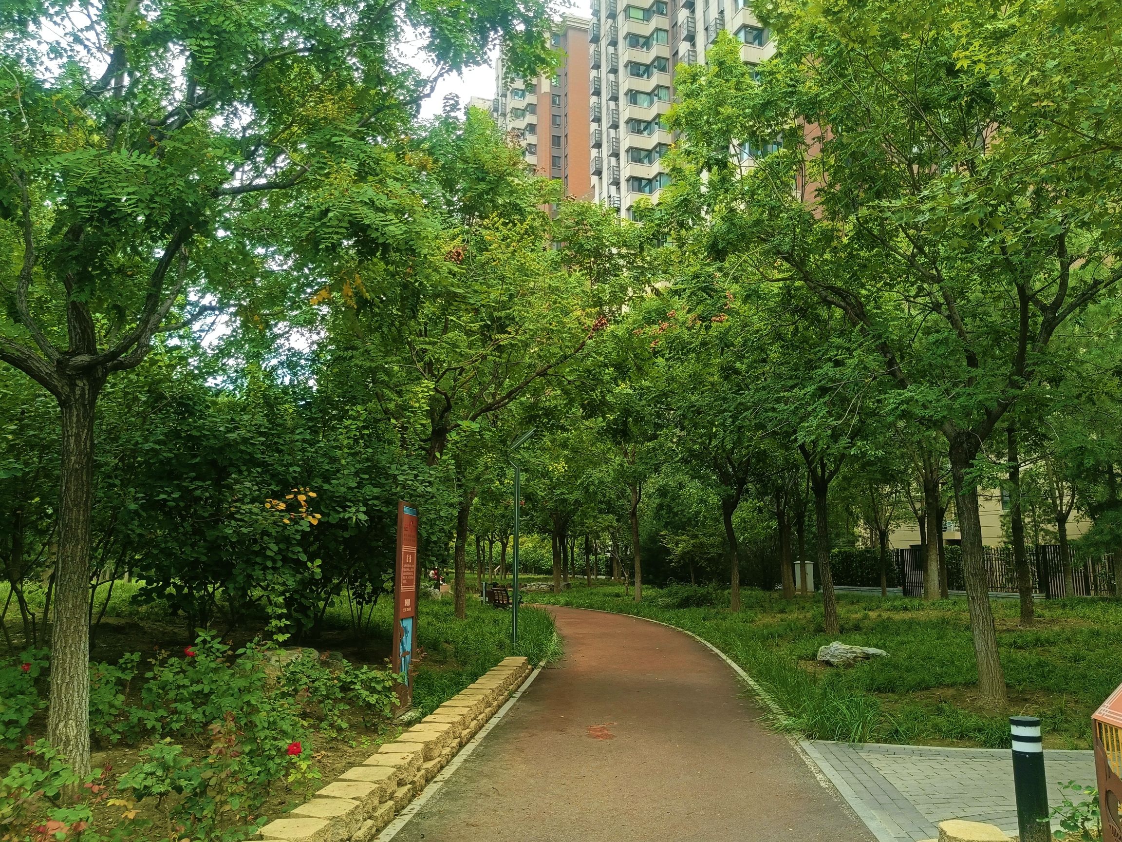 丰宜公园旅行图片 3