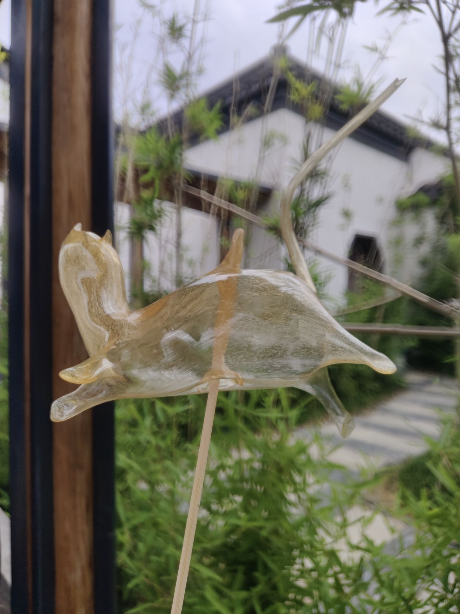 临空音乐公园旅行图片 2