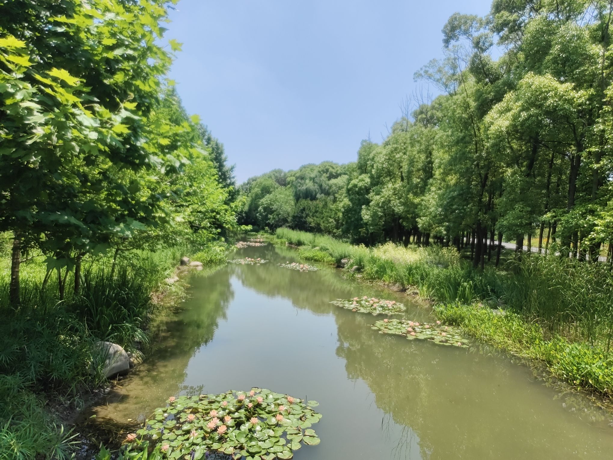 临空音乐公园旅行图片 1