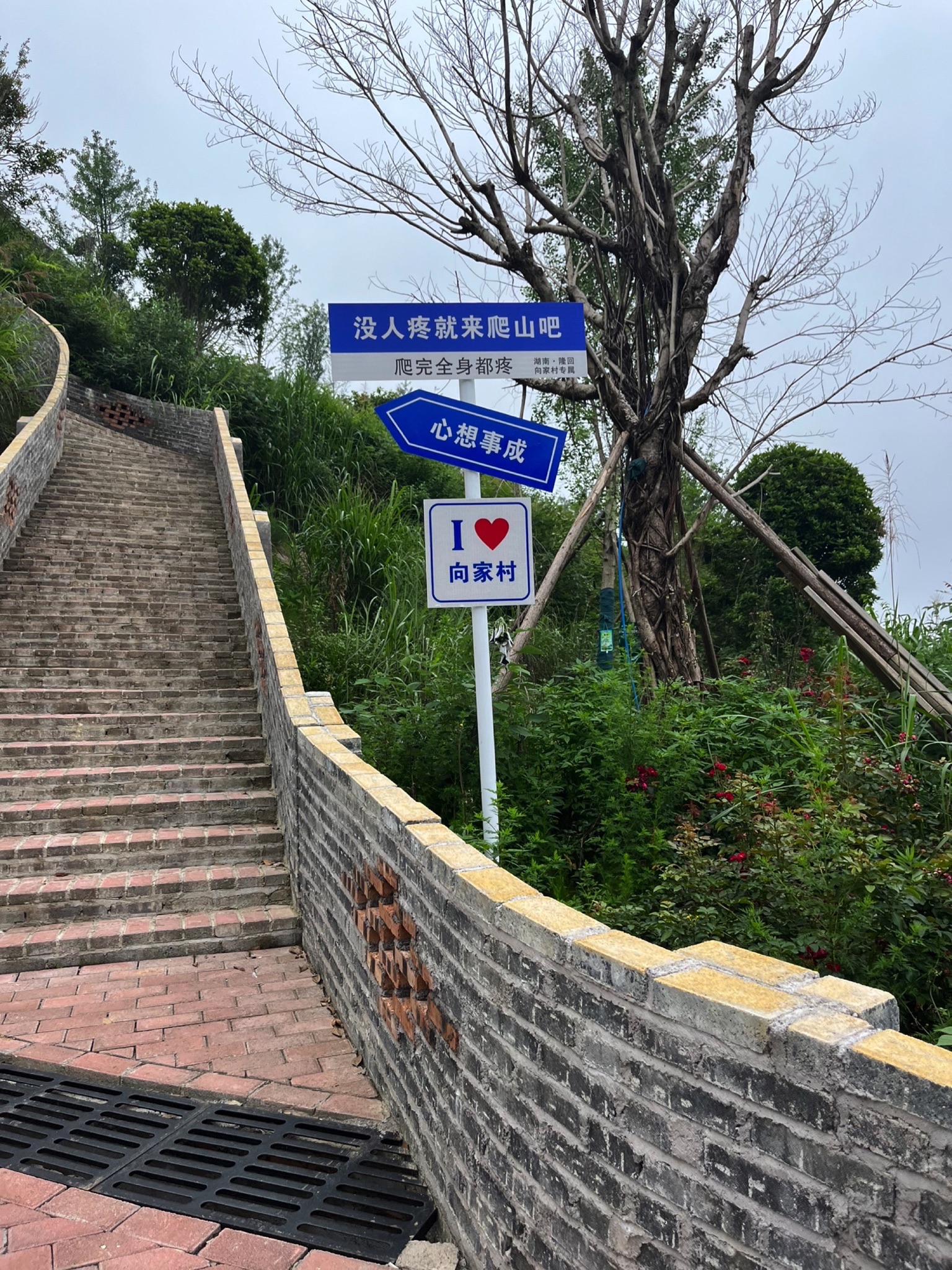 隆回县向家牛天岭景区旅行图片 1