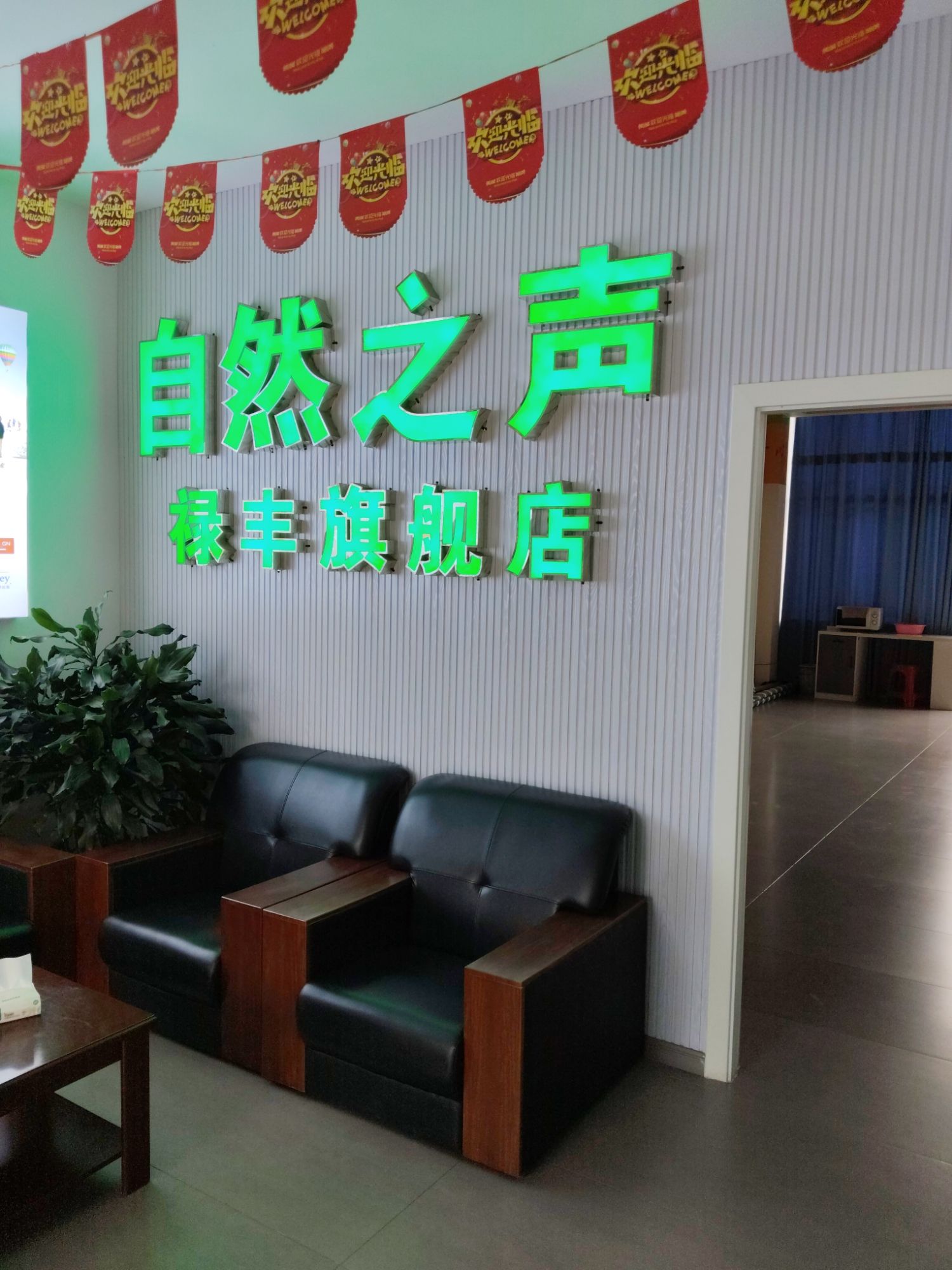 自然之声助听器·呼吸机(禄丰店)