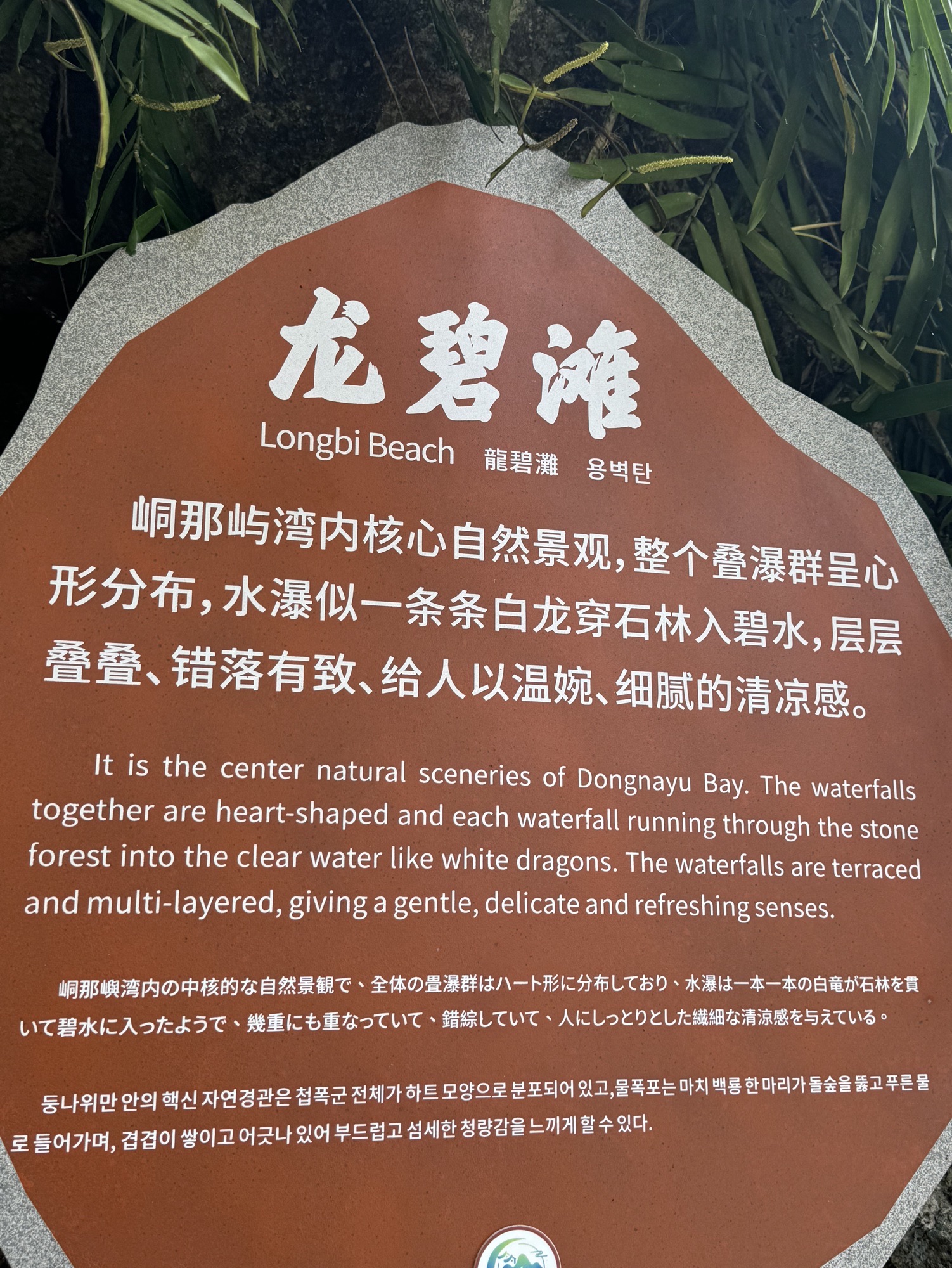 峒那屿湾旅行图片 3