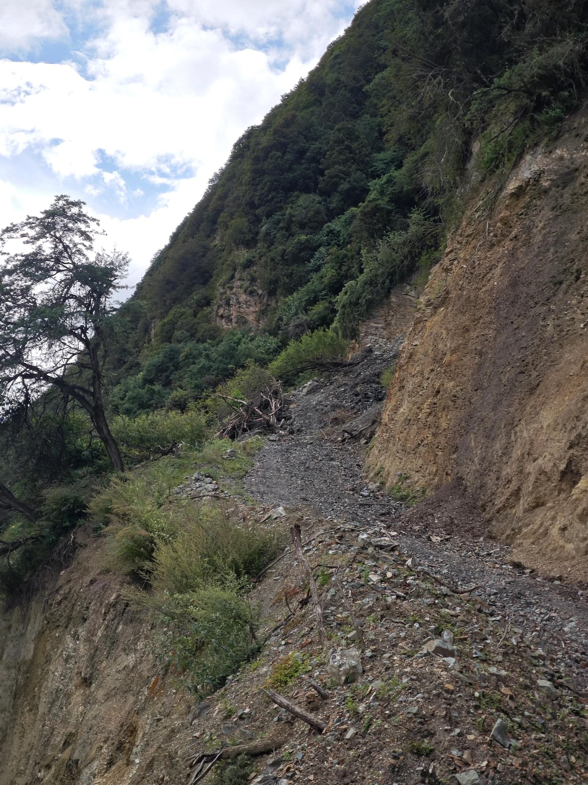 胆扎木沟红山旅游风景区旅行图片 1