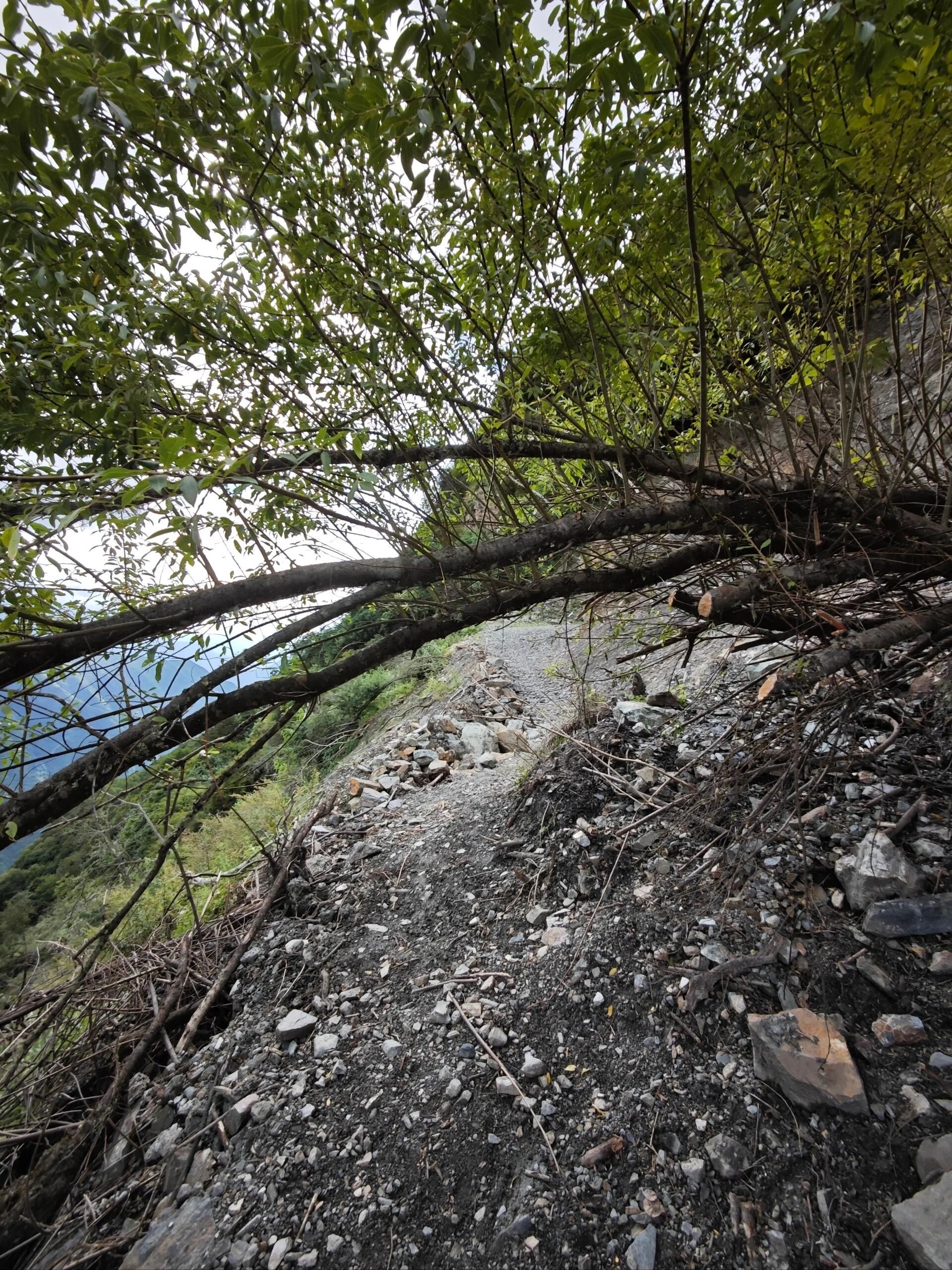 胆扎木沟红山旅游风景区旅行图片 2
