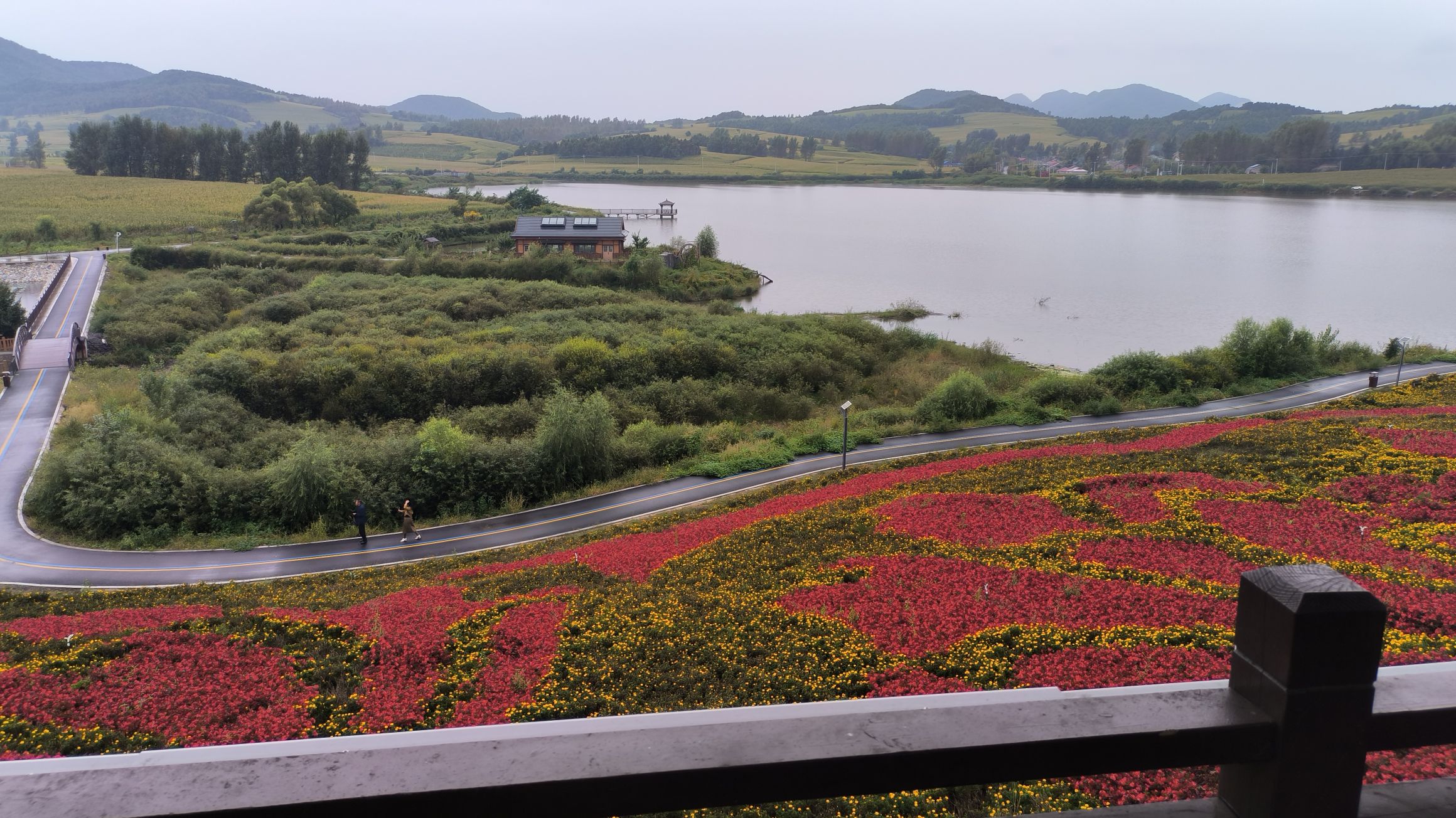 万龙湖花海旅行图片 3
