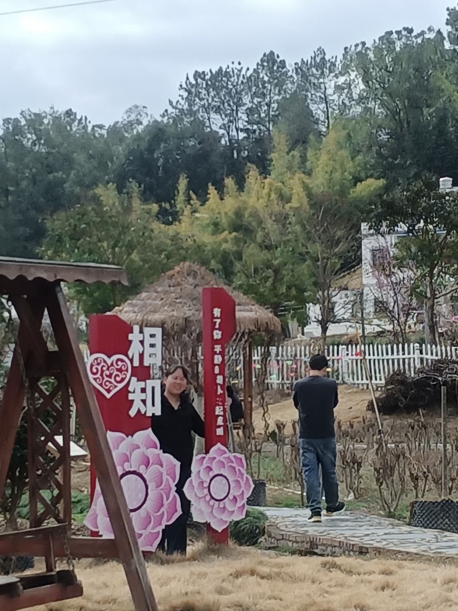 绿油花果树小镇旅行图片 3