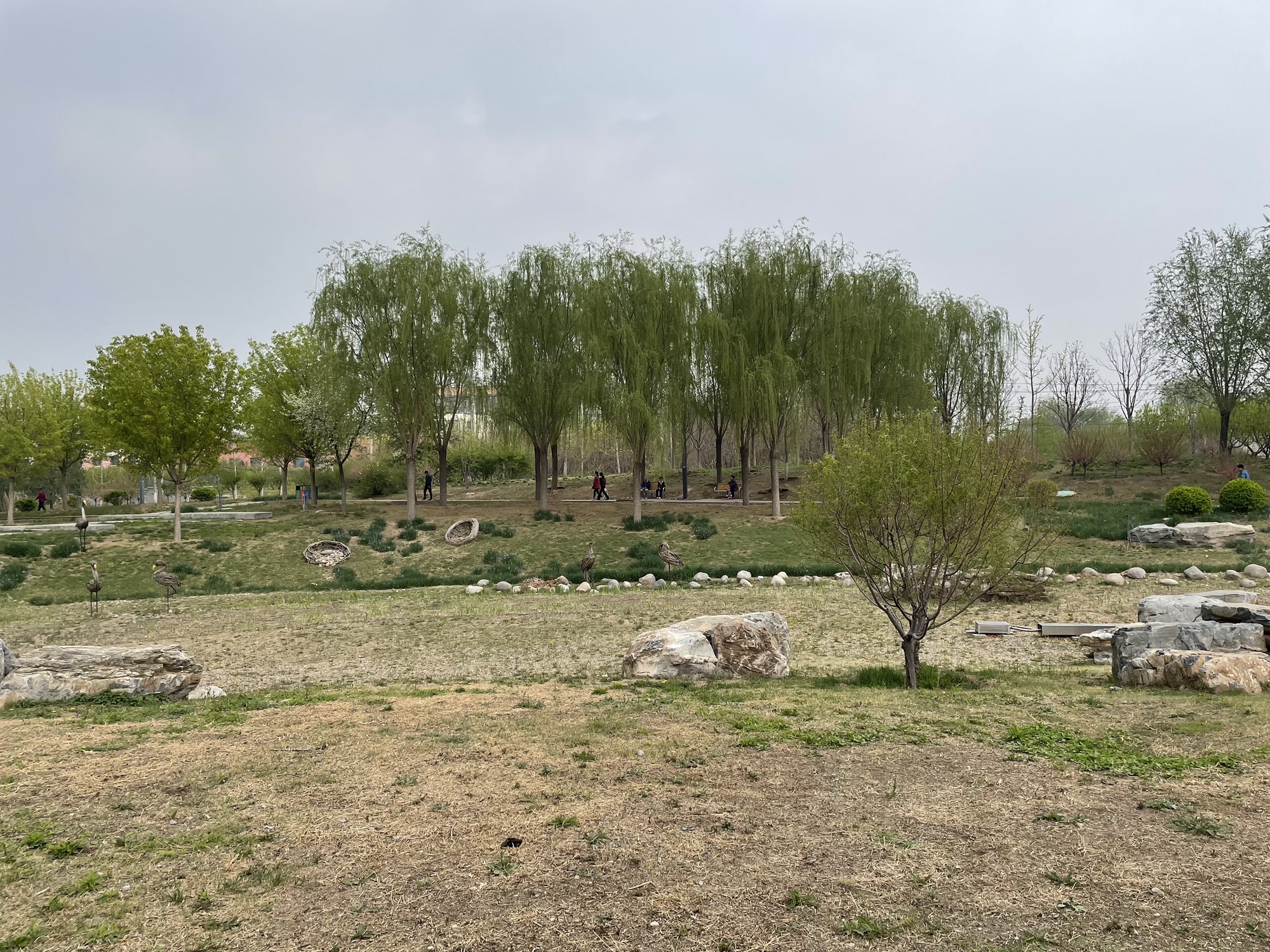 久敬庄公园旅行图片 2