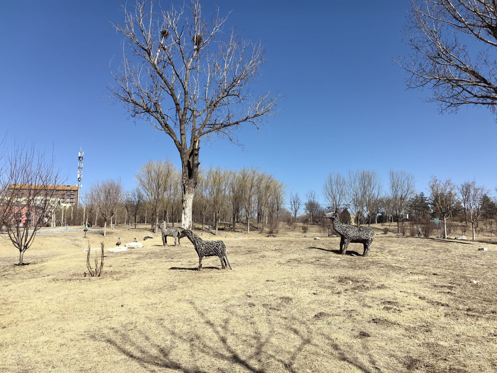 久敬庄公园旅行图片 2